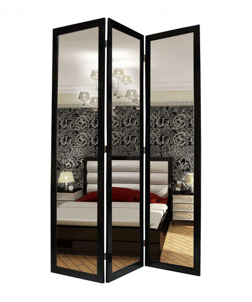 50 X 69 Black Glass & Wood Mirror  Screen