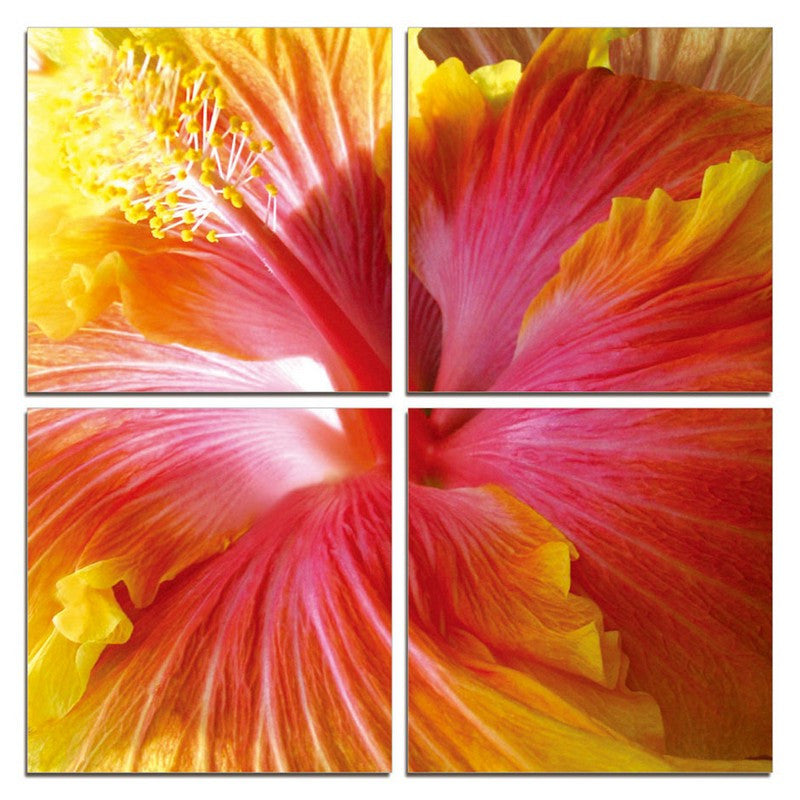 24" Multicolor Canvas 4 Panels Hibiscus Photo