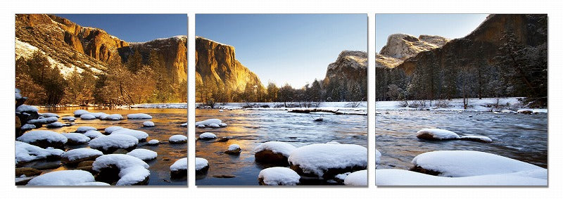 24" Canvas 3 Panels Color Photo