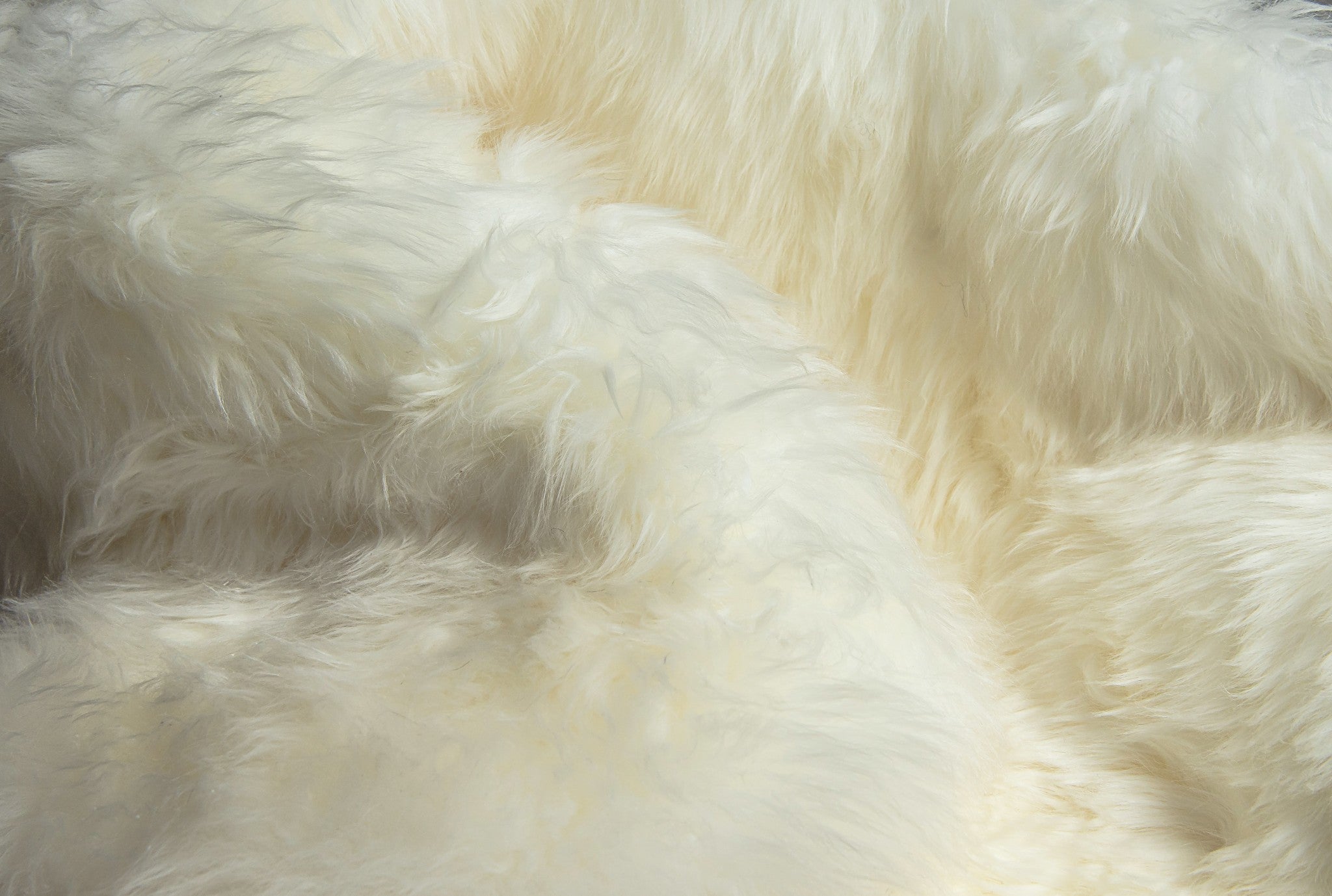 2' X 3'  White Natural New Zealand Sheepskin Wool Area Rug