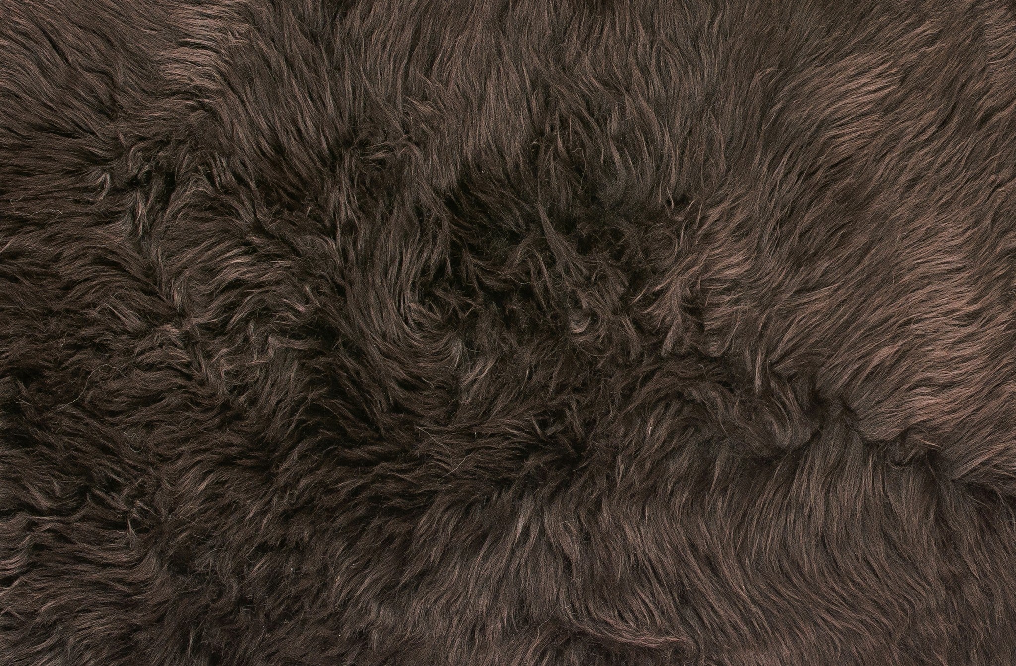 24" X 36" Chocolate Single Sheepskin Area Rug