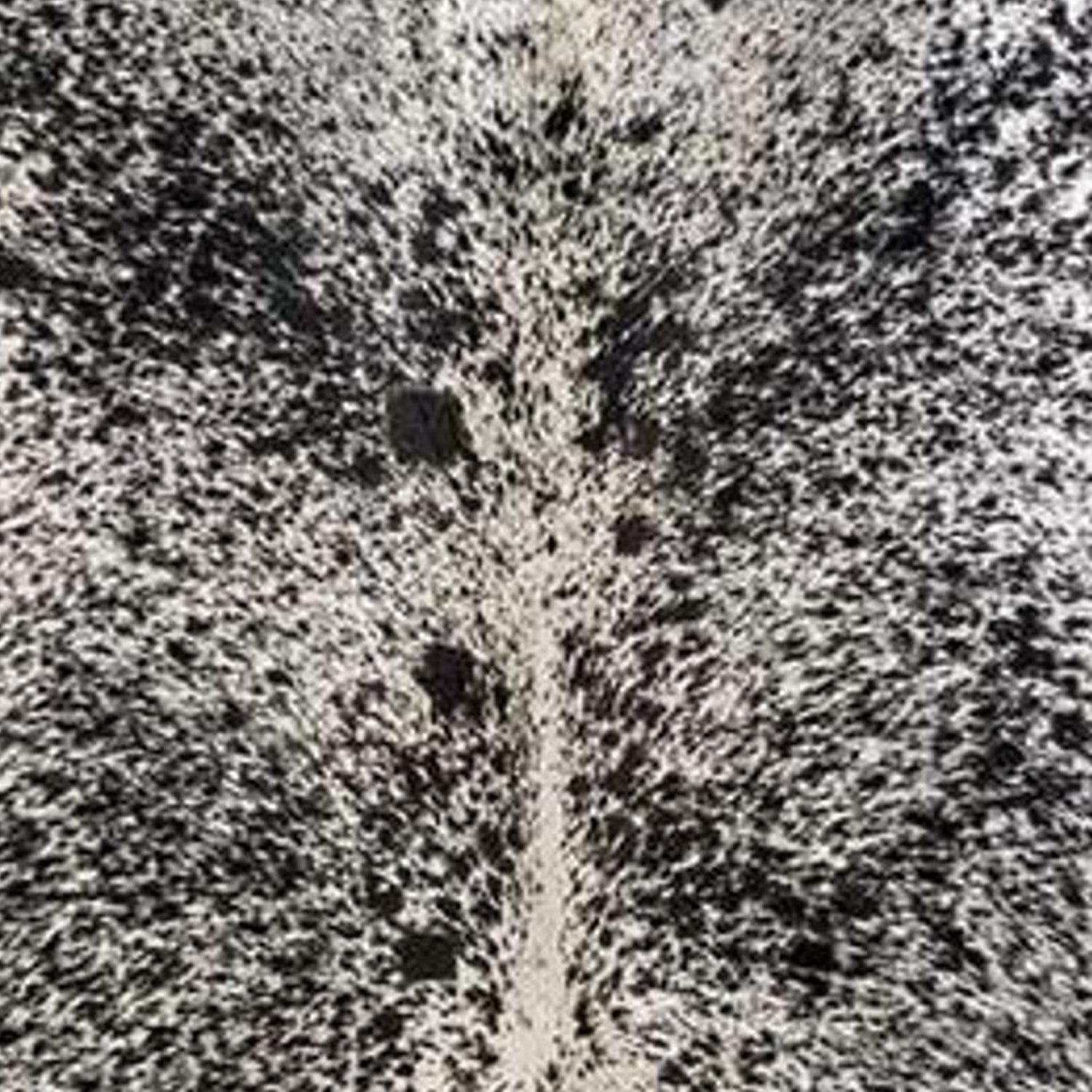 60" X 84" Salt And Pepper Black And White Cowhide - Area Rug