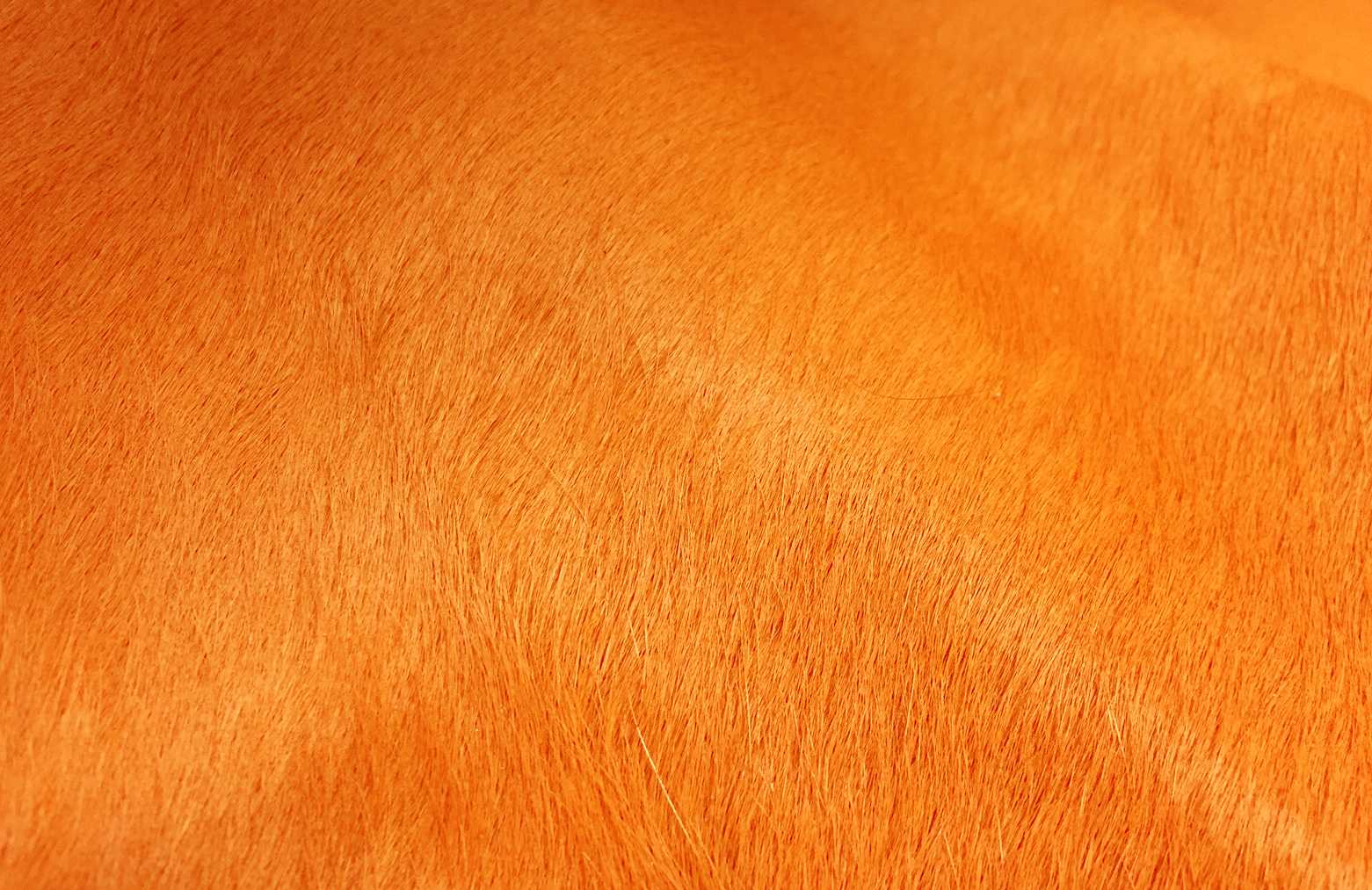 6 Ft Vibrant Orange Stenciled Cowhide Rug