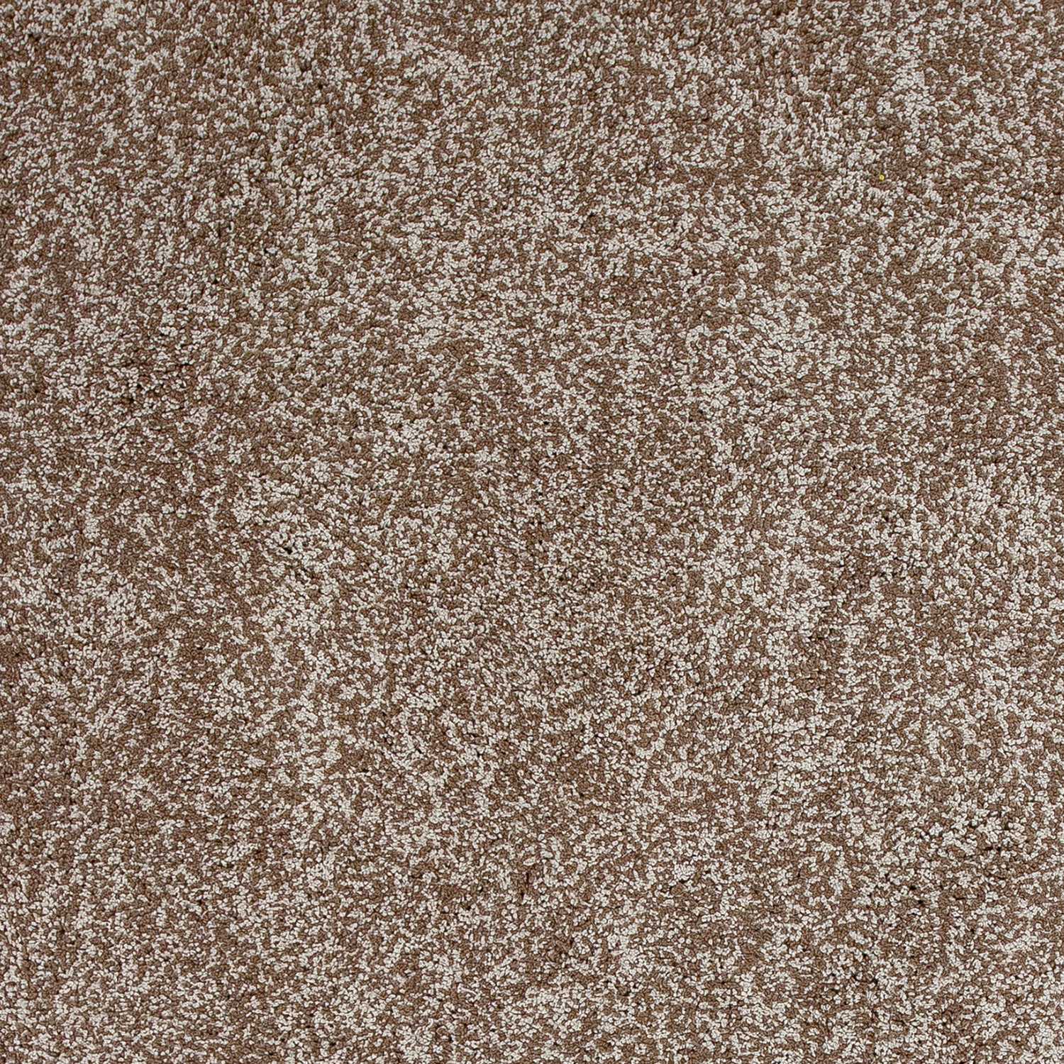 5'X7' Beige Heather Indoor Shag Rug