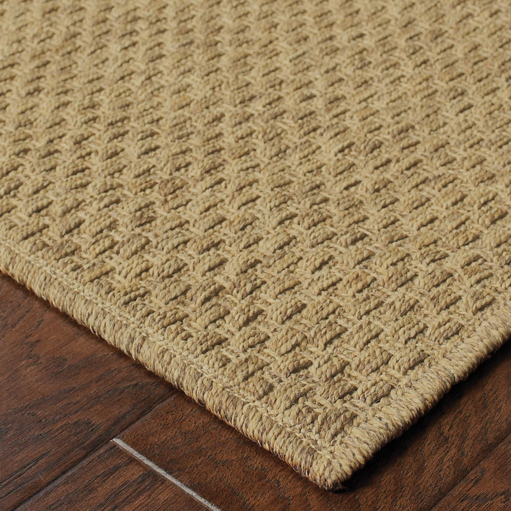 Tan Indoor Outdoor Area Rug