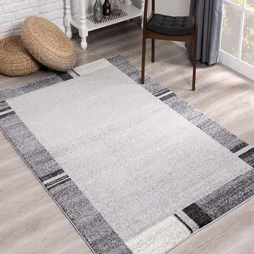 4’ X 6’ Gray Modern Bordered Area Rug