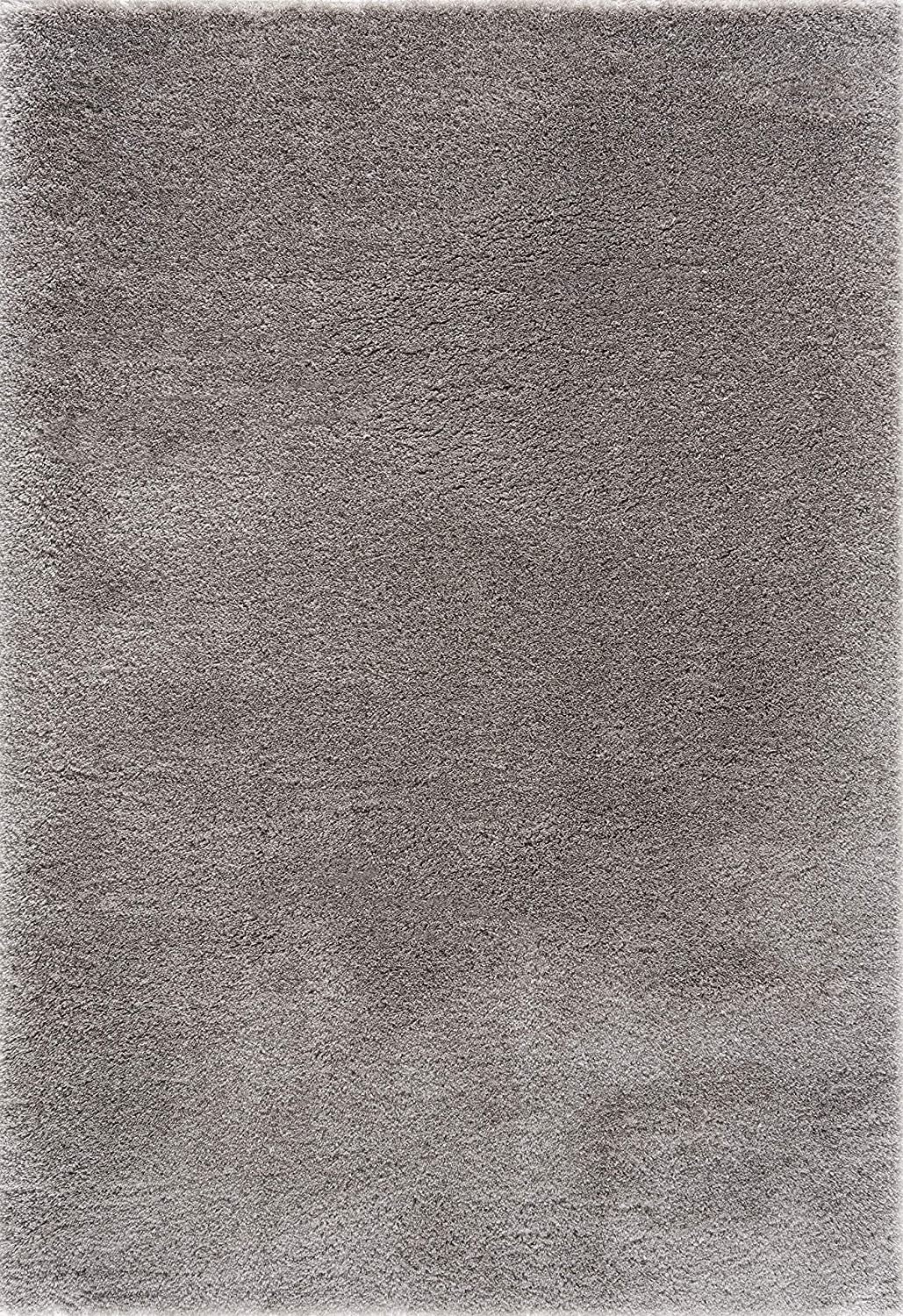 4’ X 6’ Gray Modern Solid Shag Area Rug