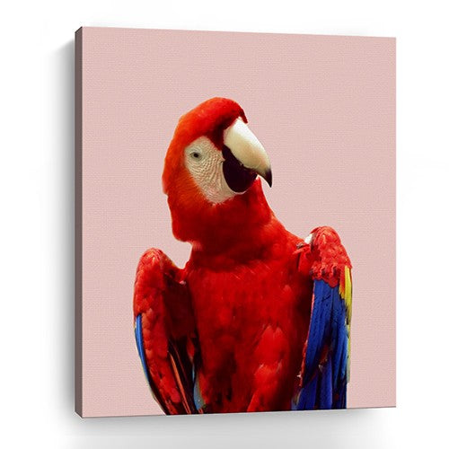 Vibrant And Vivid Bird Unframed Print Wall Art