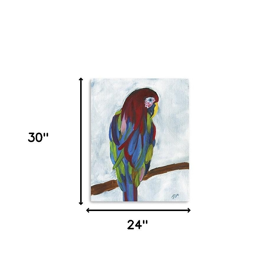 Large Bright and Tropical Parrot Canvas Wall Art