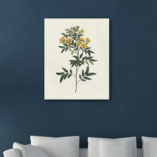 Singular Yellow Blossom Branch Unframed Print Wall Art