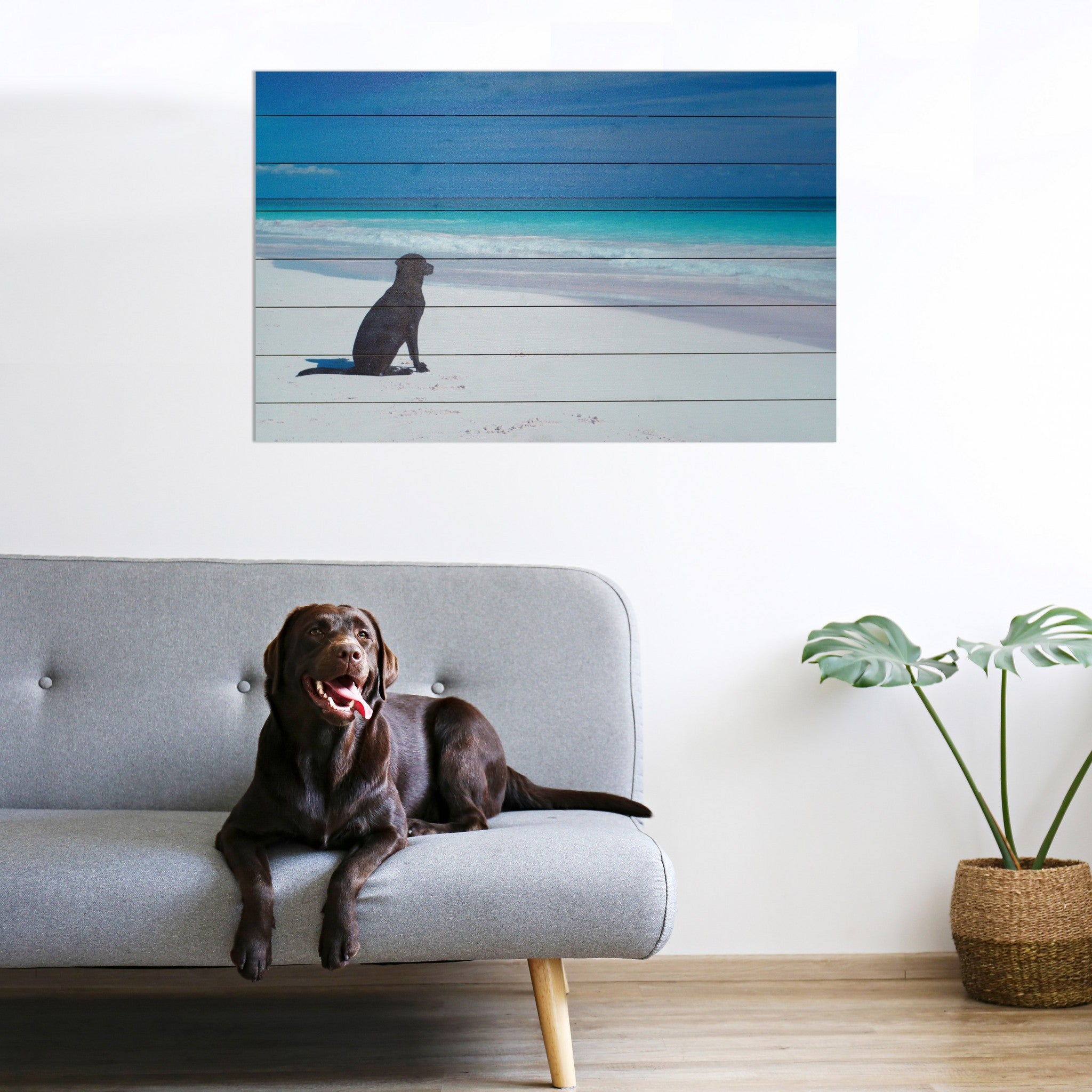 Energetic Dog At The Beach Unframed Photograph Wall Art