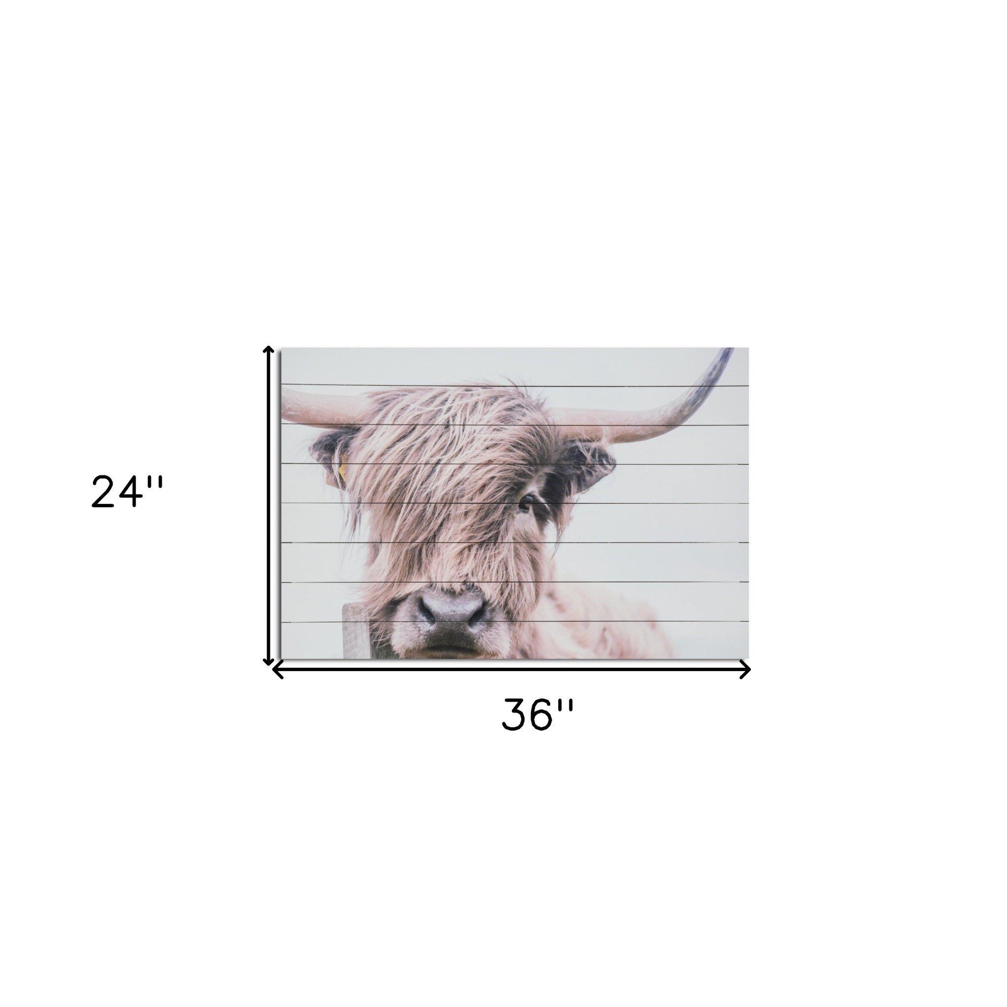 Adorbale Highland Cow Wood Plank Wall Art