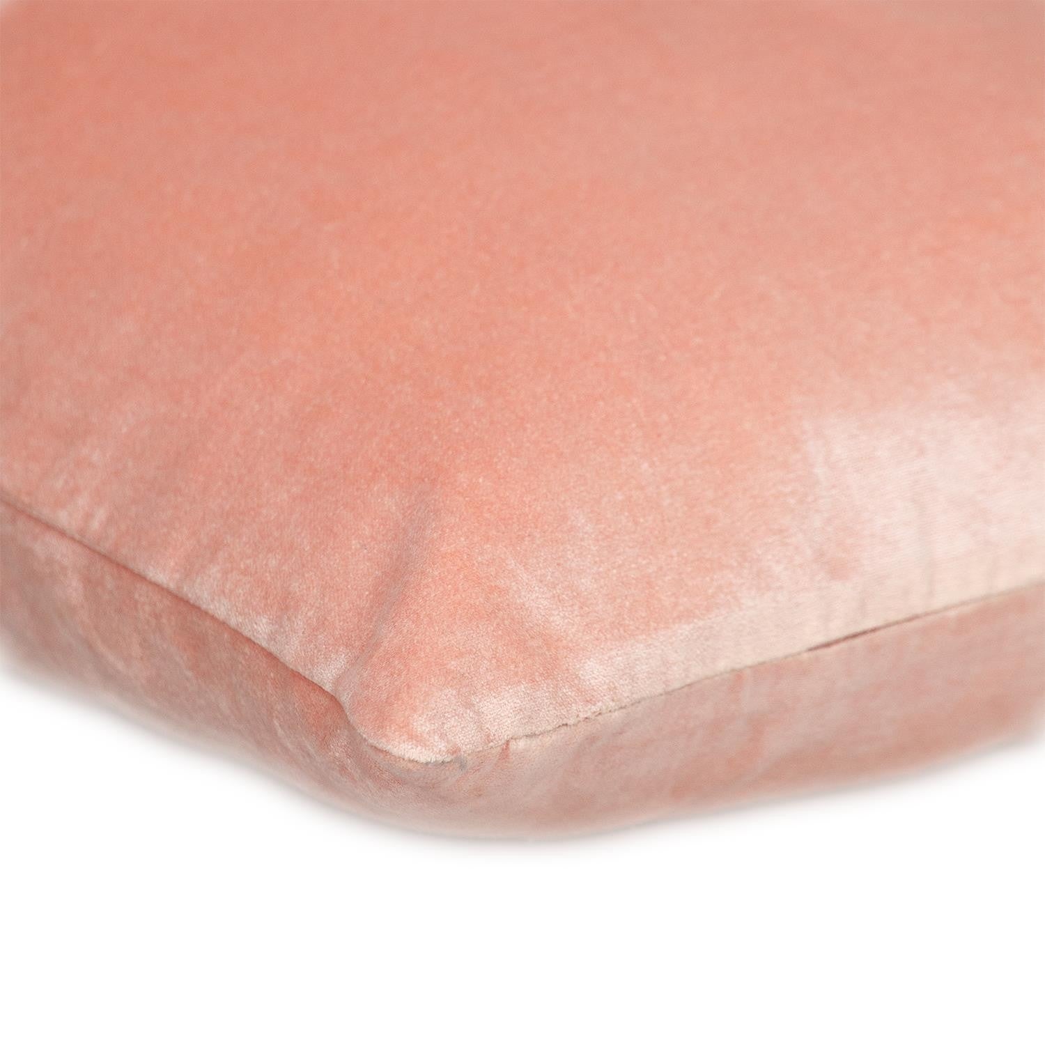 Transitional Pink Soft Touch Throw Pillow - Small