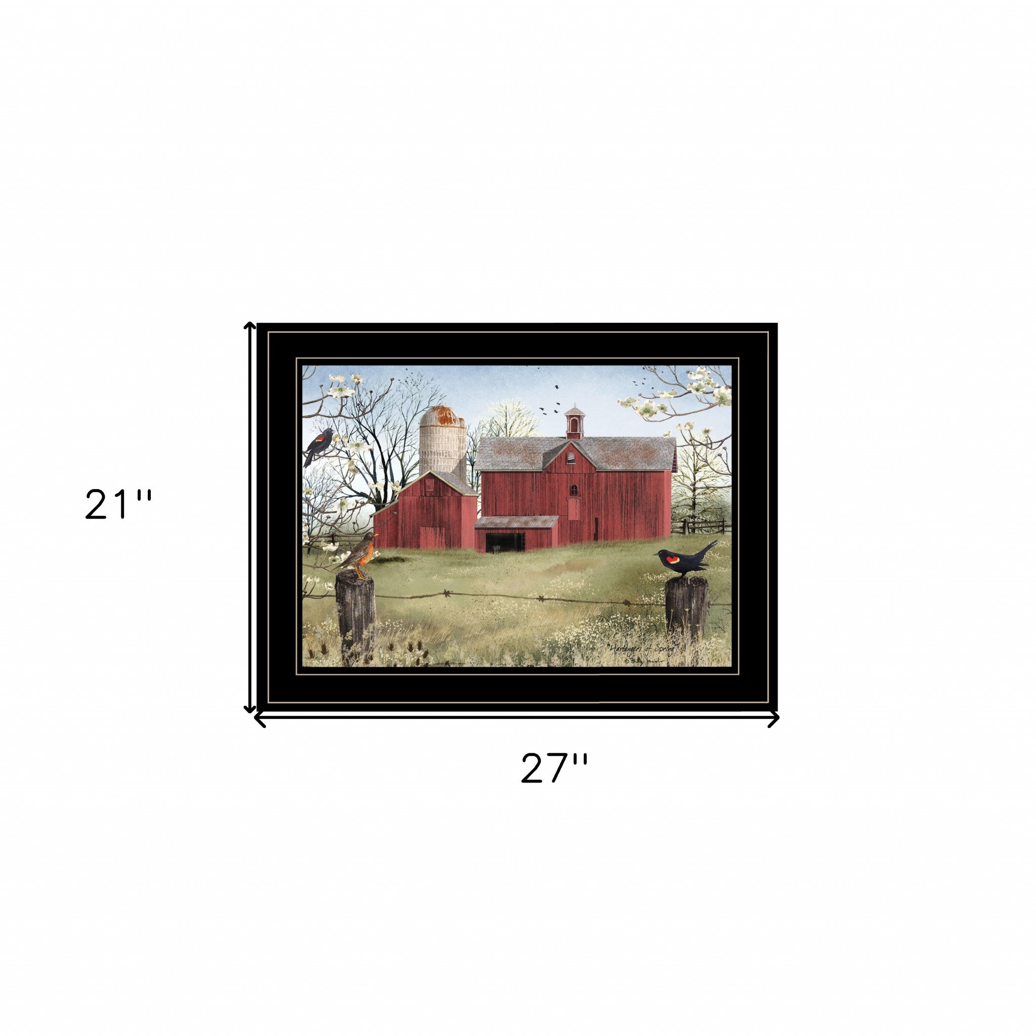 Rustic Red Barn and Birds Black Framed Print Wall Art