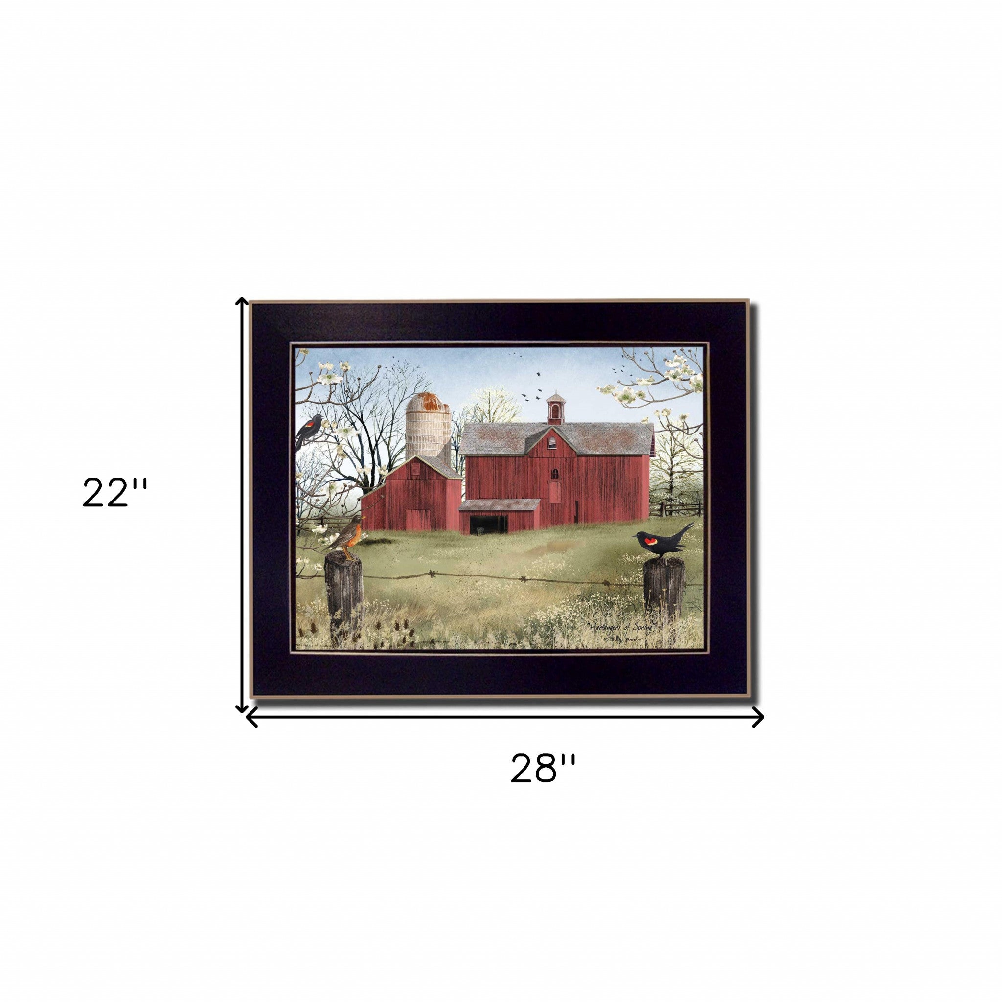 Rustic Red Barn and Birds Black Framed Print Wall Art