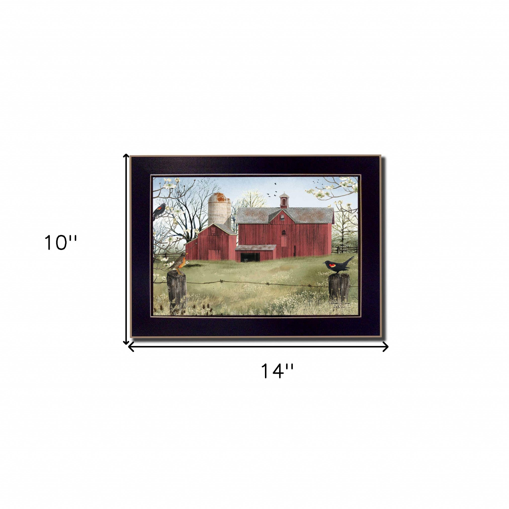 Rustic Red Barn and Birds Black Framed Print Wall Art