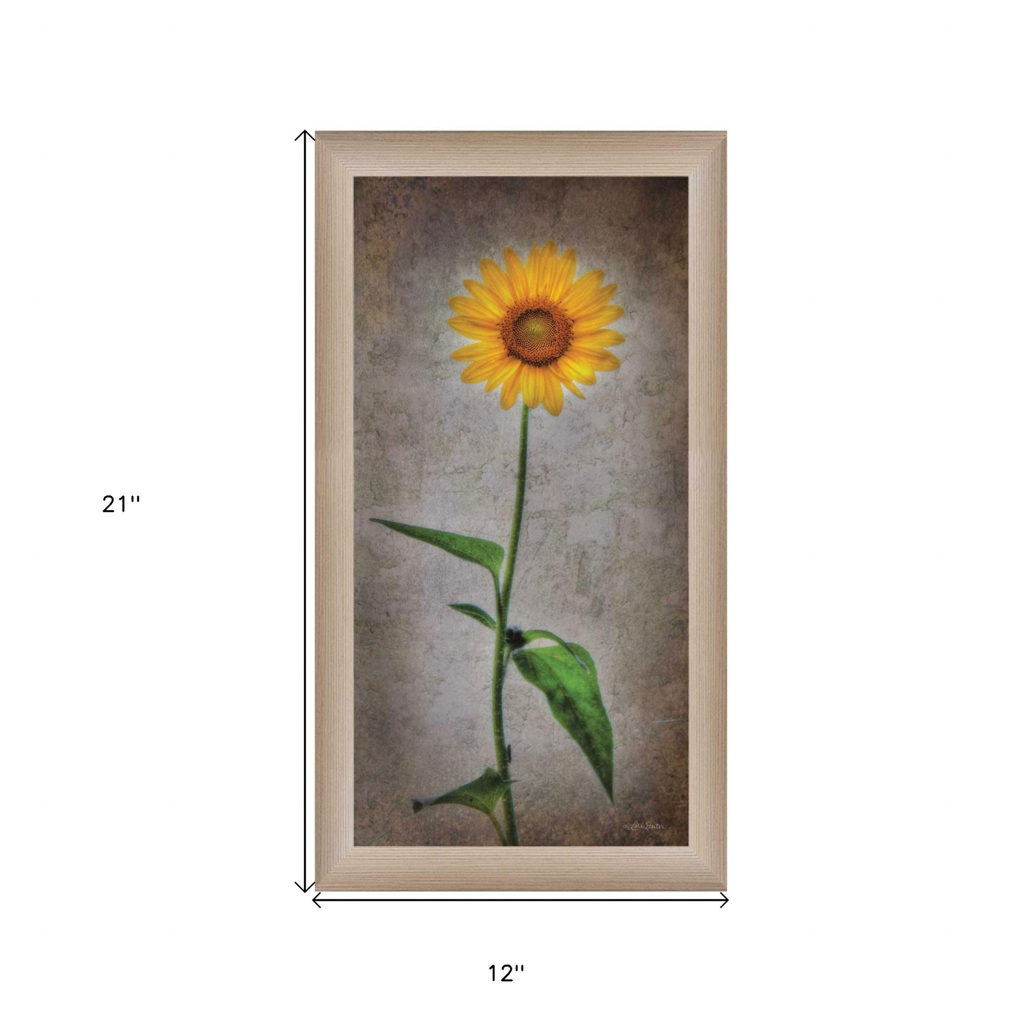 Sunflower I Brown Framed Print Wall Art