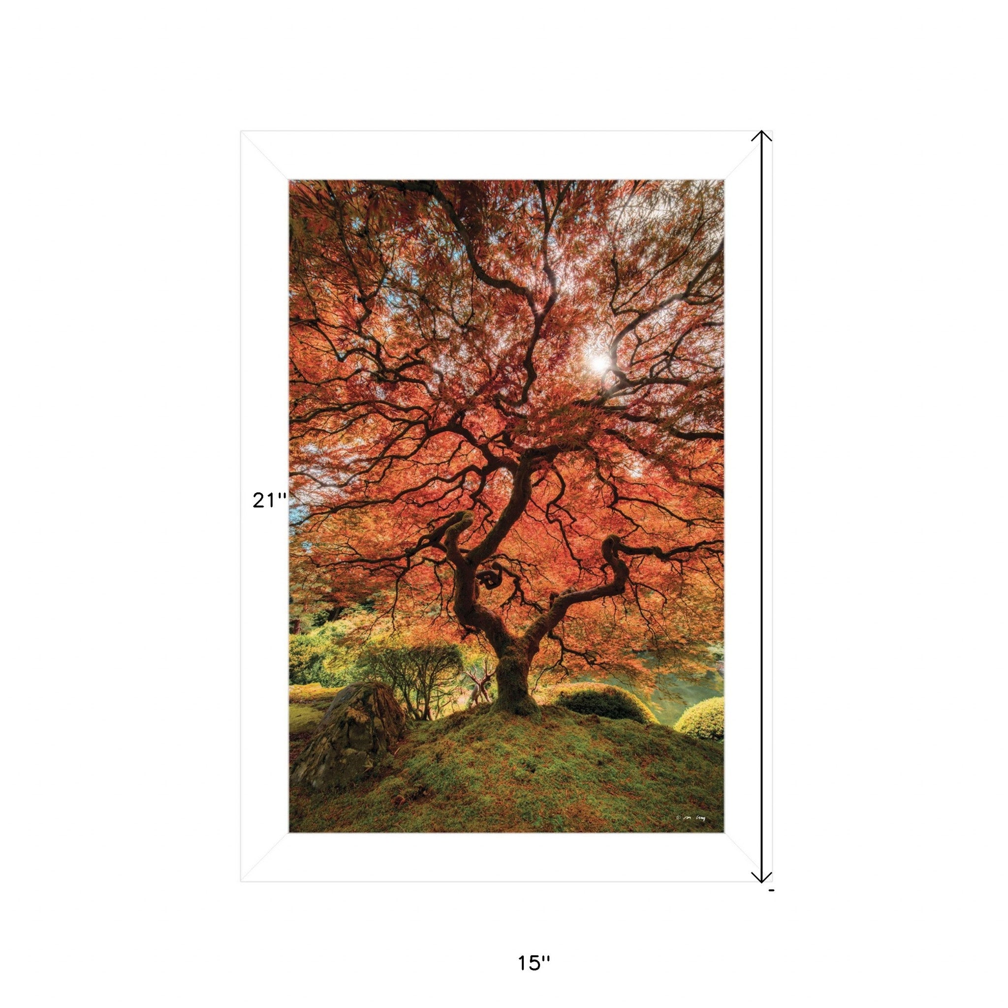 First Colors Of Fall II 1 White Framed Print Wall Art