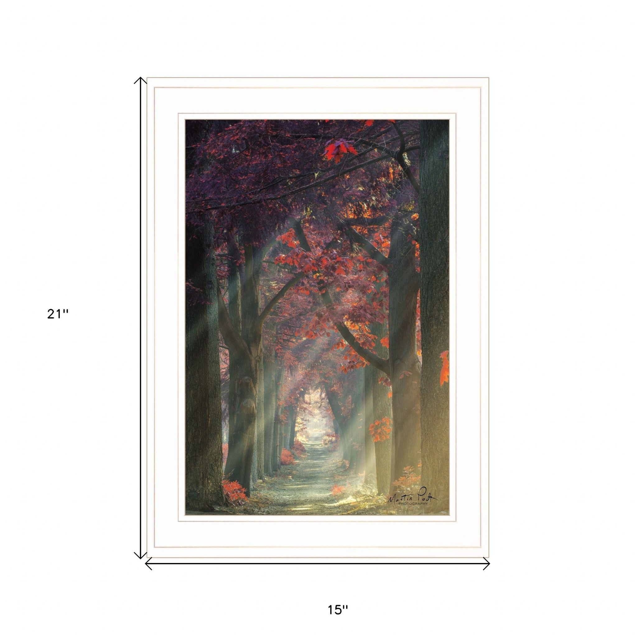 Path Of Happiness 1 White Framed Print Wall Art