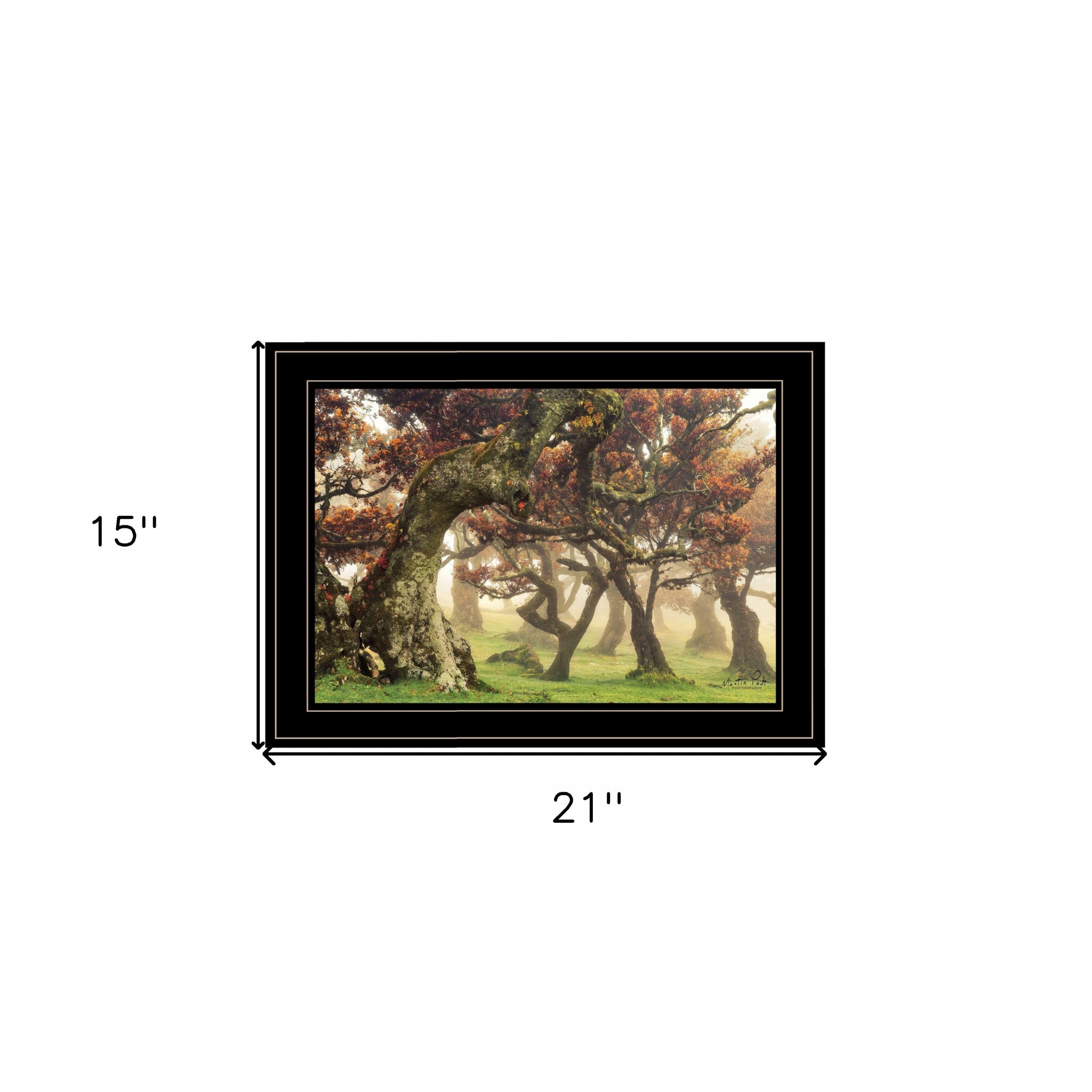 Fanal Martin Podt Ready To Hang Framed Print Black Frame Black Framed Print Wall Art