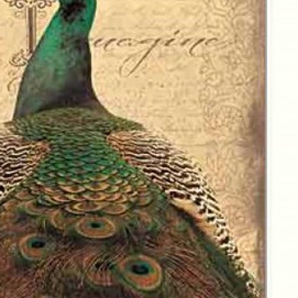 Set Of Two Peacock 1 White Framed Print Wall Art