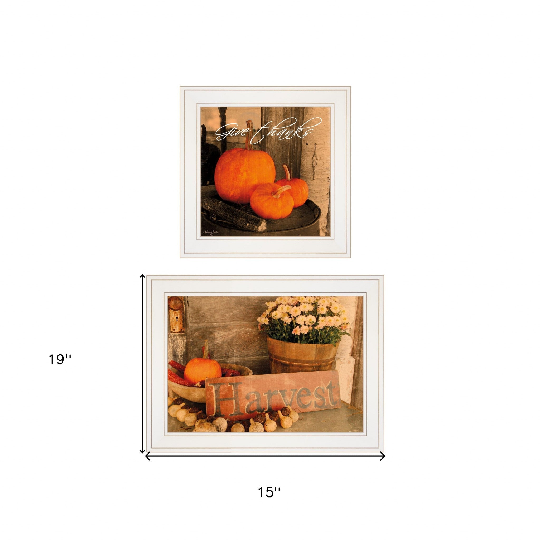 Set Of Two Autumn Harvest 1 White Framed Print Wall Art