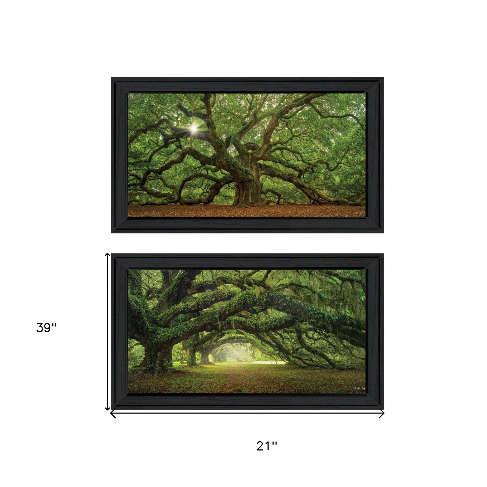 Set Of Two Tree Arbors 2-Piece By Moises Levy Black Frame Black Framed Print Wall Art