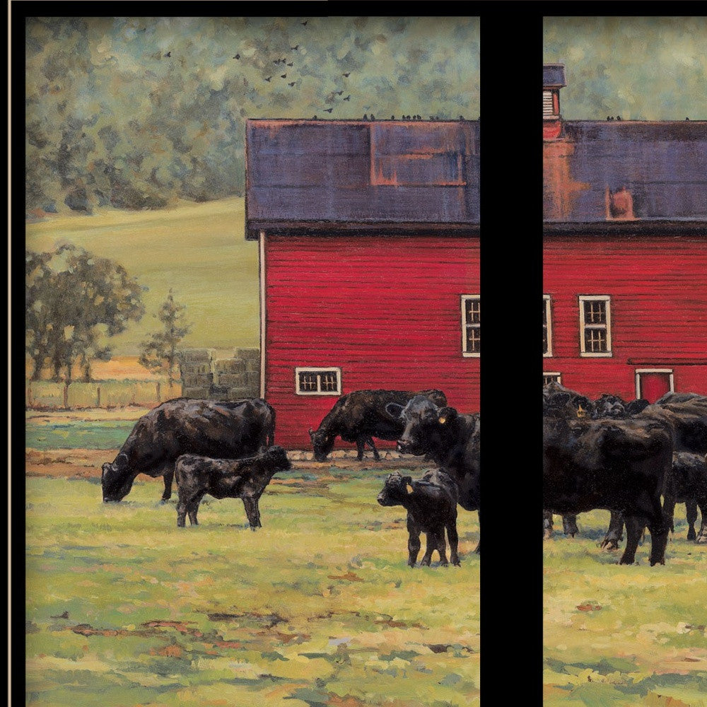 By The Red Barn Herd Of Angus 2 Black Framed Print Wall Art