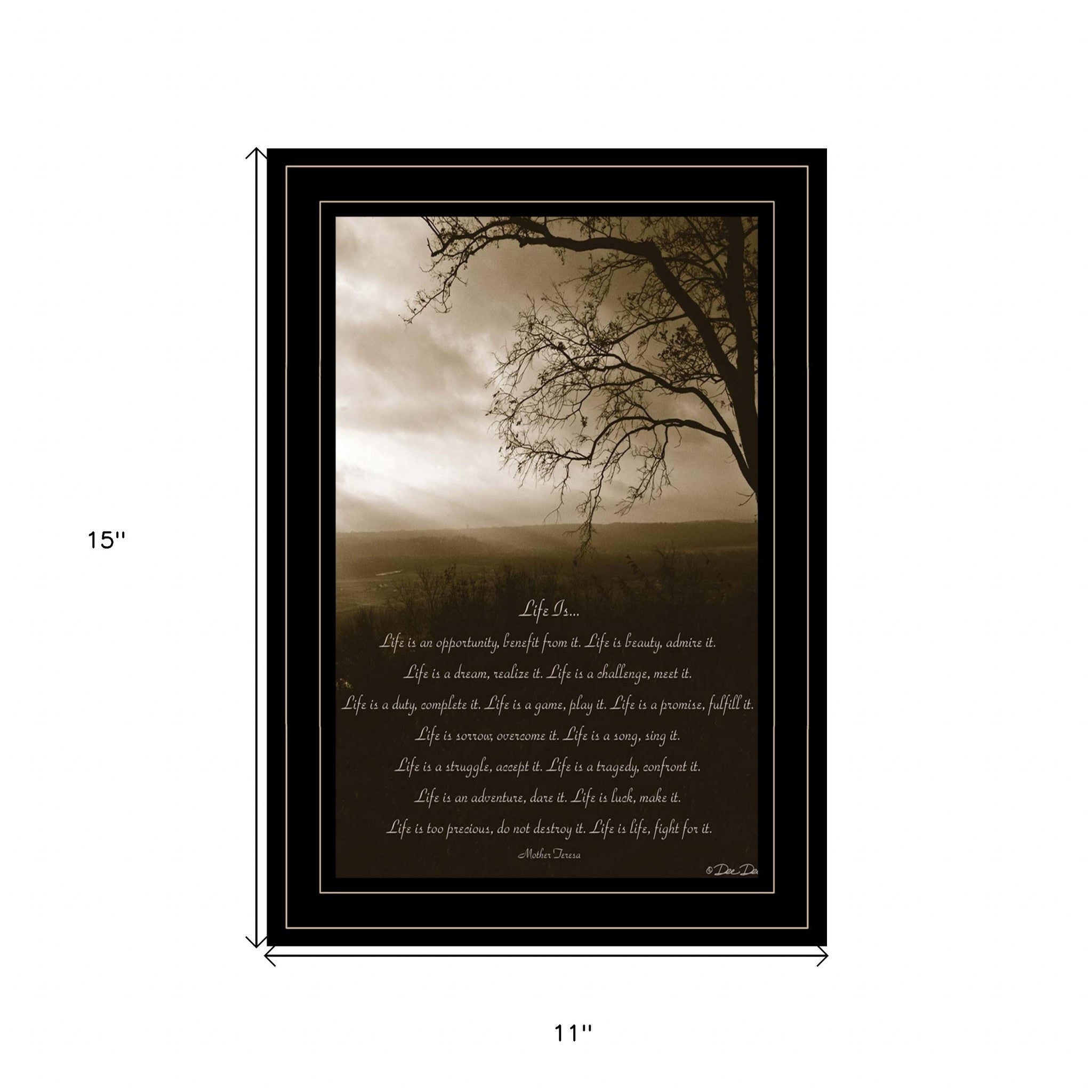 Life Is 4 Black Framed Print Wall Art