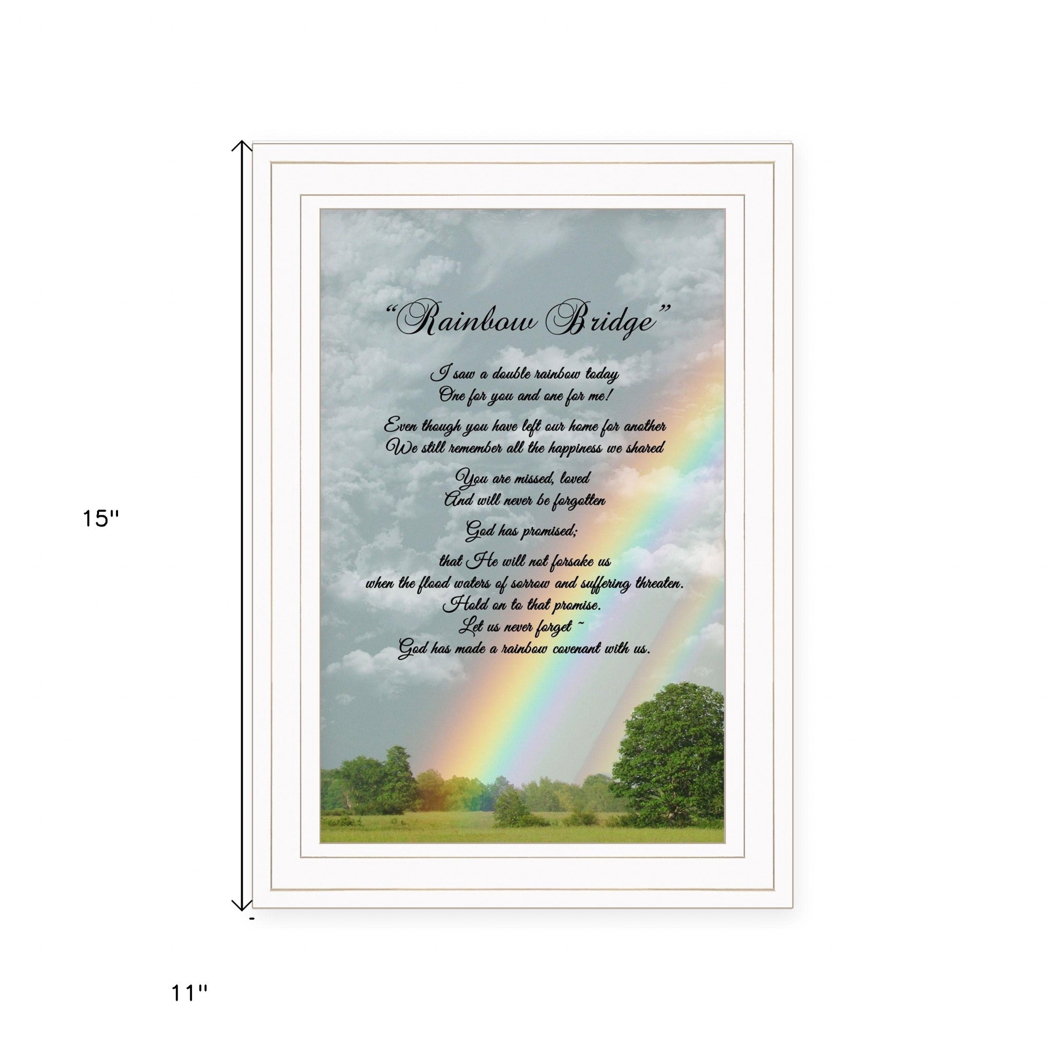 Rainbow Bridge White Framed Print Wall Art