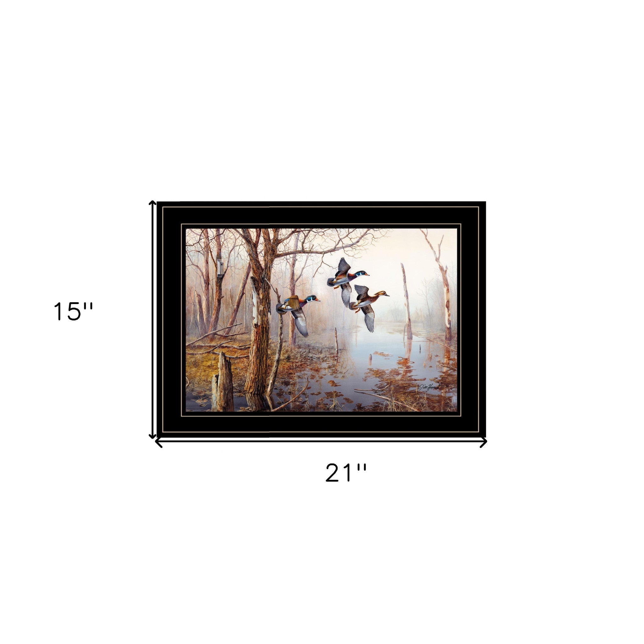 Master Of His Domain Collection 2 Black Framed Print Wall Art