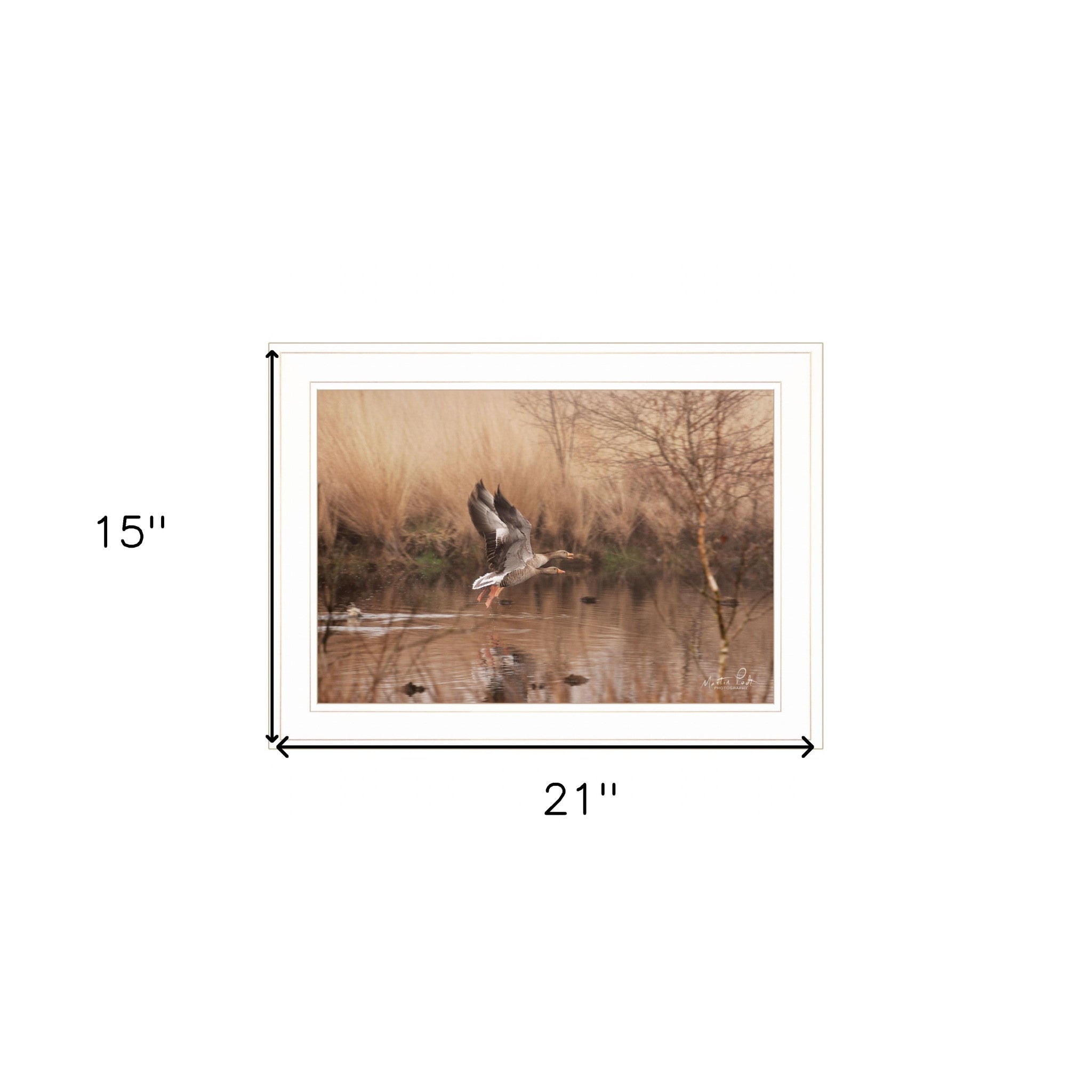 Fly Away 4 White Framed Print Wall Art