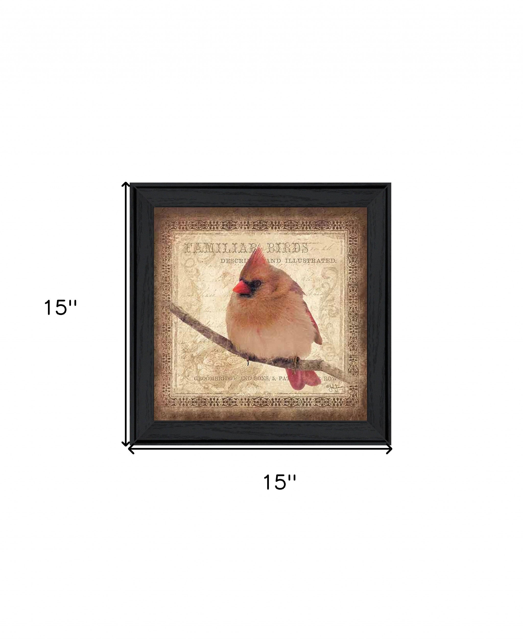 Female Cardinal 2 Black Framed Print Wall Art