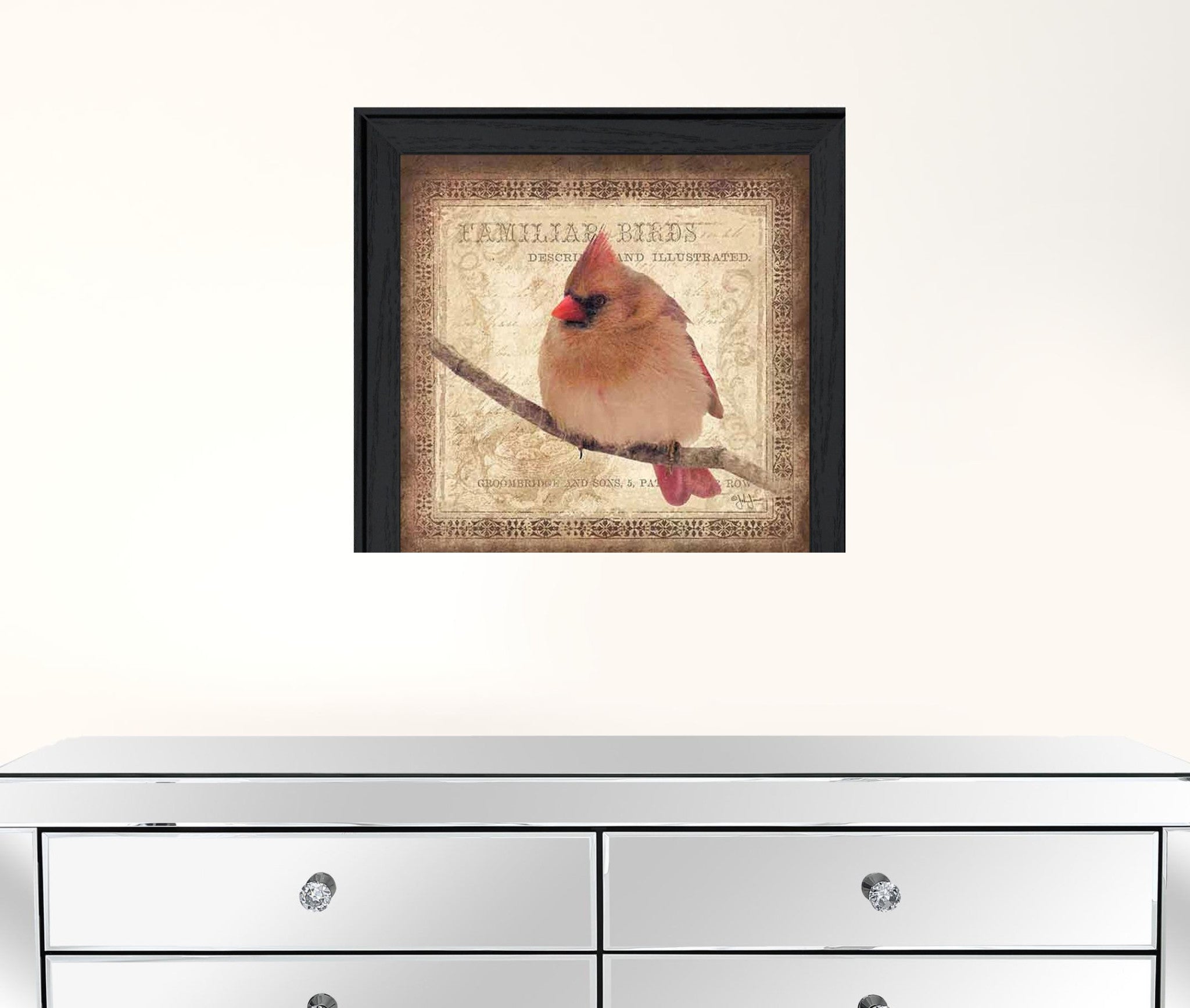 Female Cardinal 2 Black Framed Print Wall Art