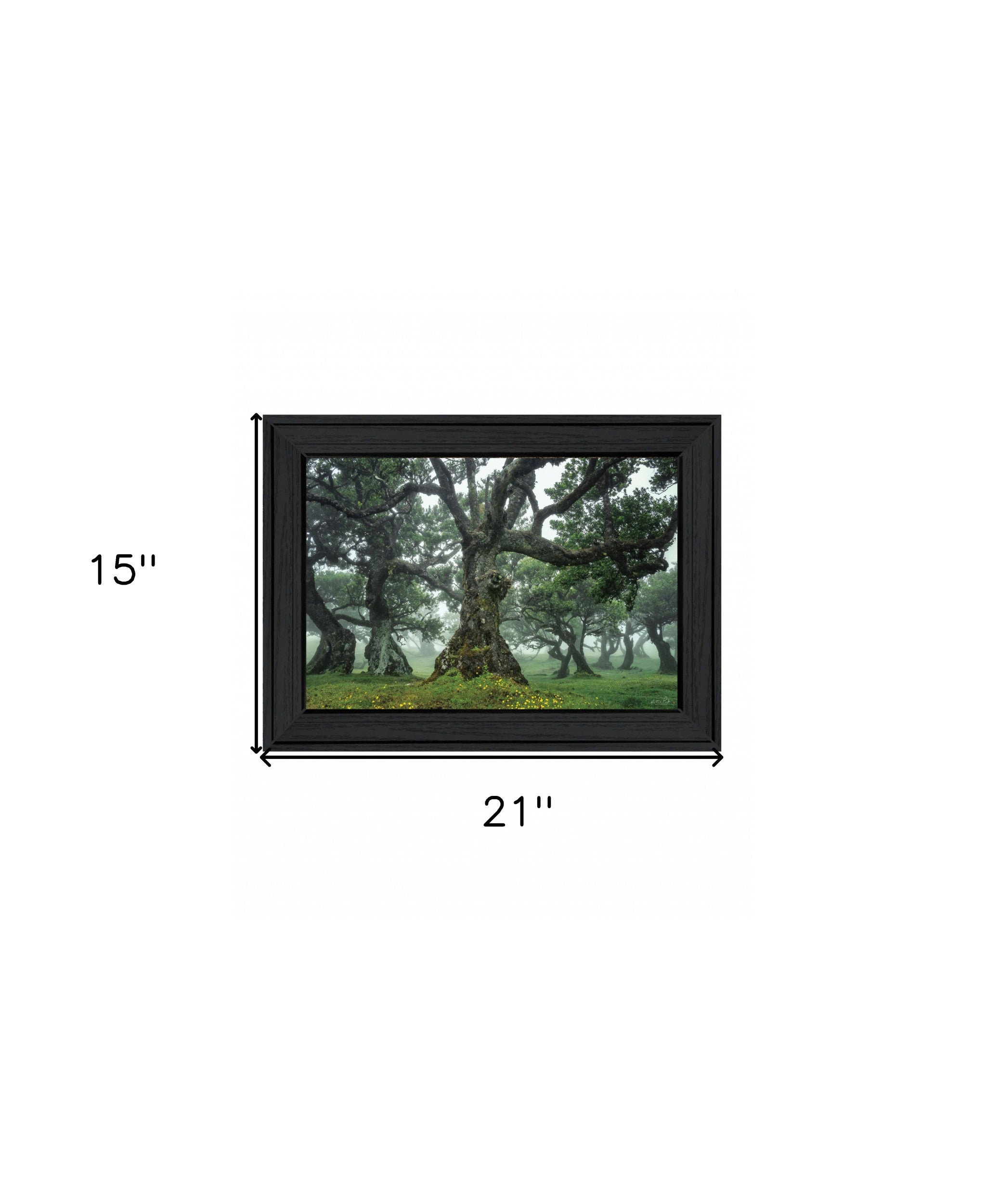 Enchanted Forest I 3 Black Framed Print Wall Art