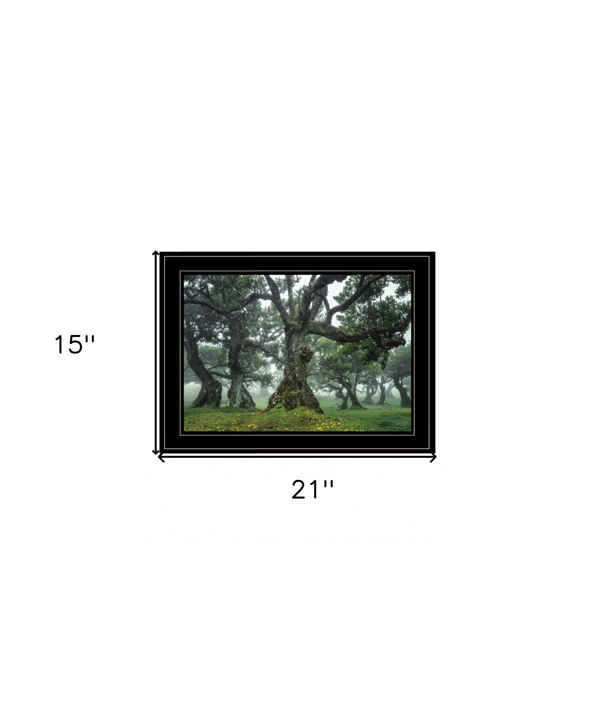 Enchanted Forest I 4 Black Framed Print Wall Art