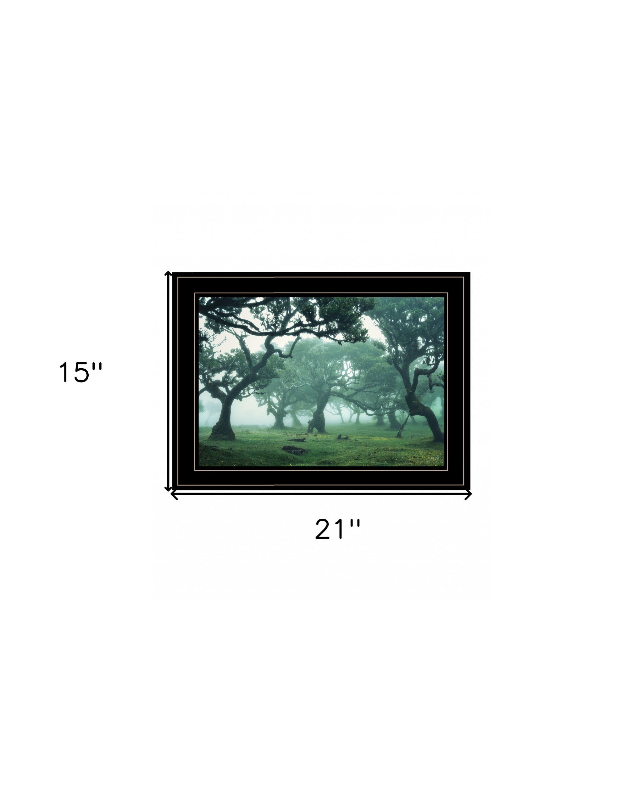 Enchanted Forest II 4 Black Framed Print Wall Art