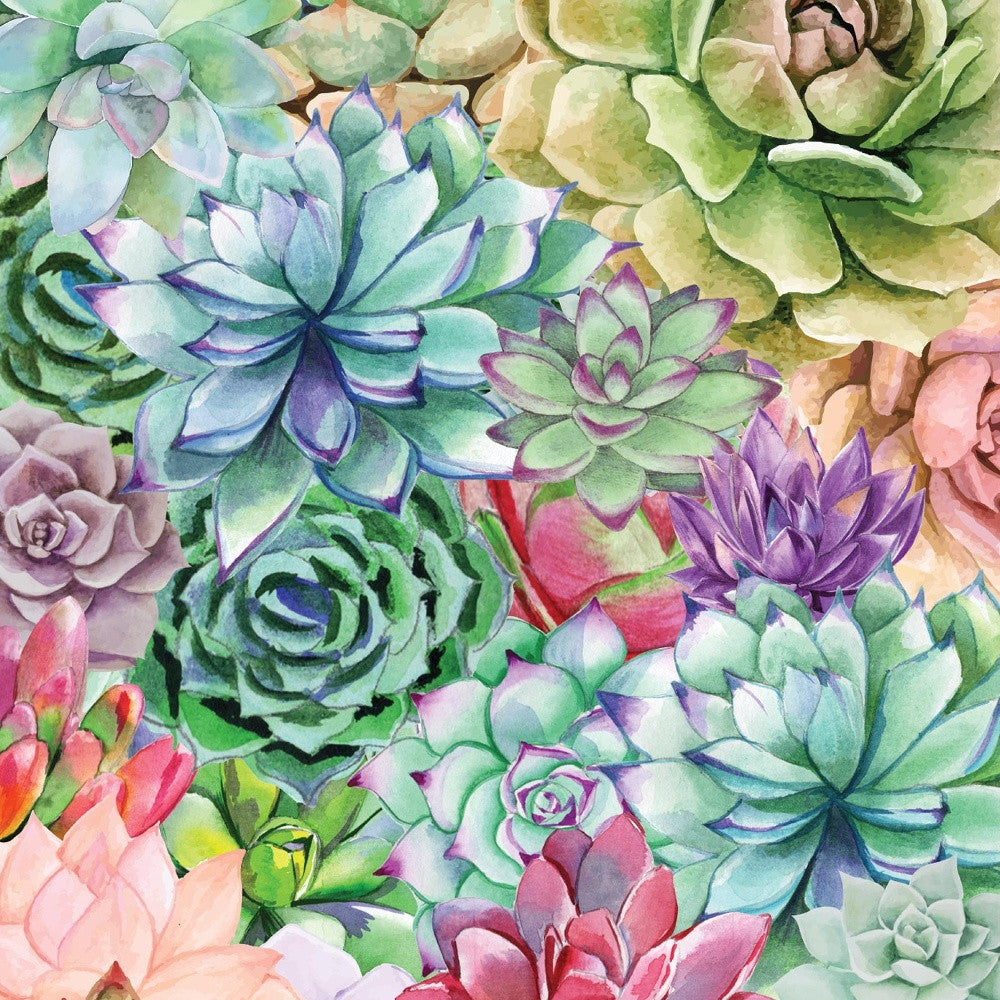 Succulents Paradise 2 White Framed Print Wall Art