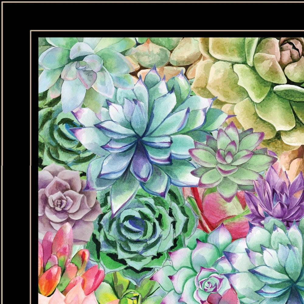 Succulents Paradise 3 Black Framed Print Wall Art