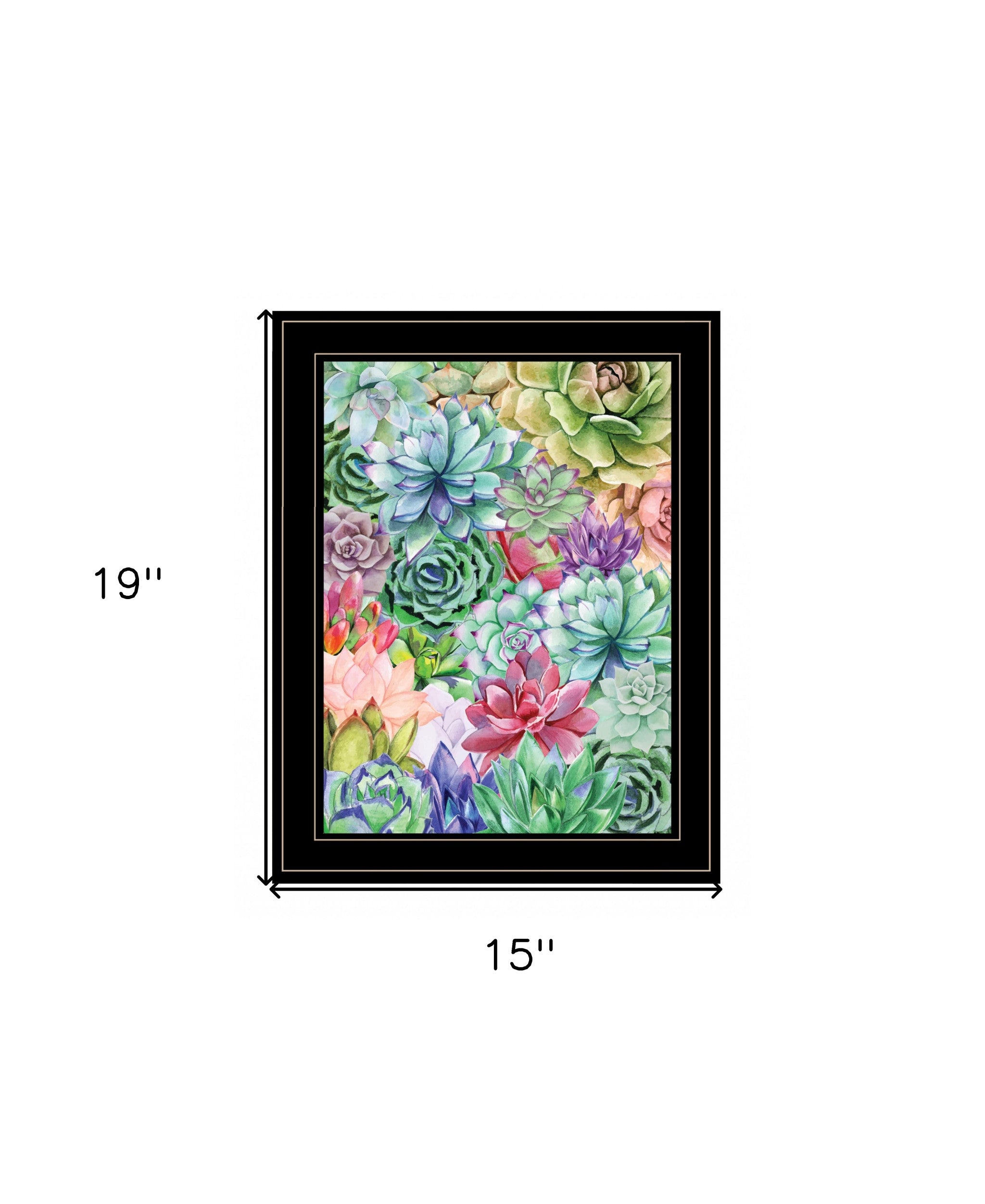 Succulents Paradise 3 Black Framed Print Wall Art