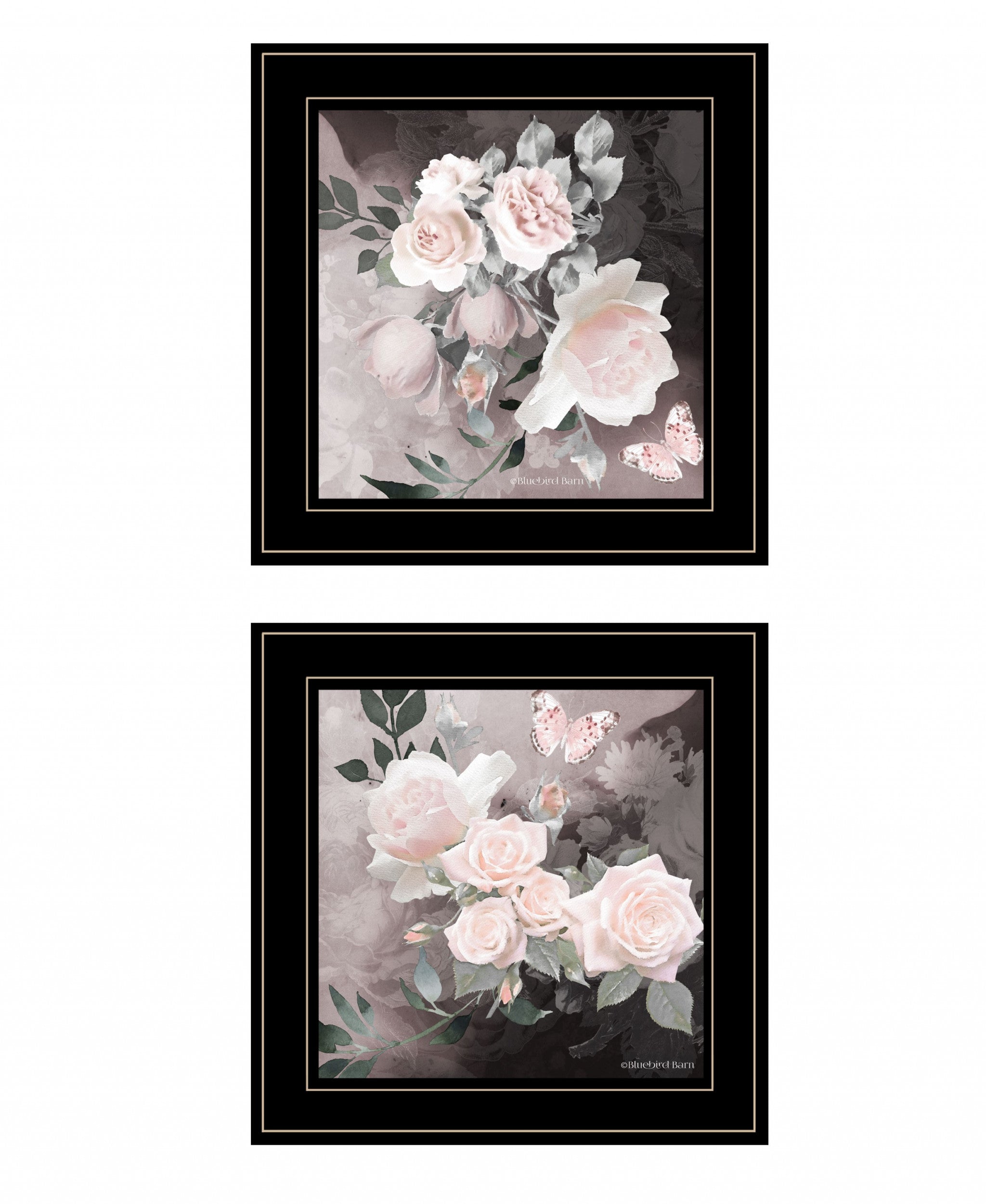 Set of Two Pink Roses and Butterfly Black Framed Print Wall Art