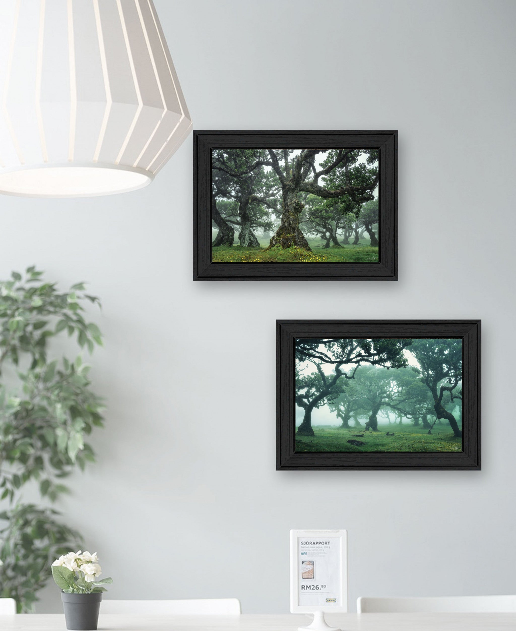 Set Of Two Enchanted Forest 2 Black Framed Print Wall Art