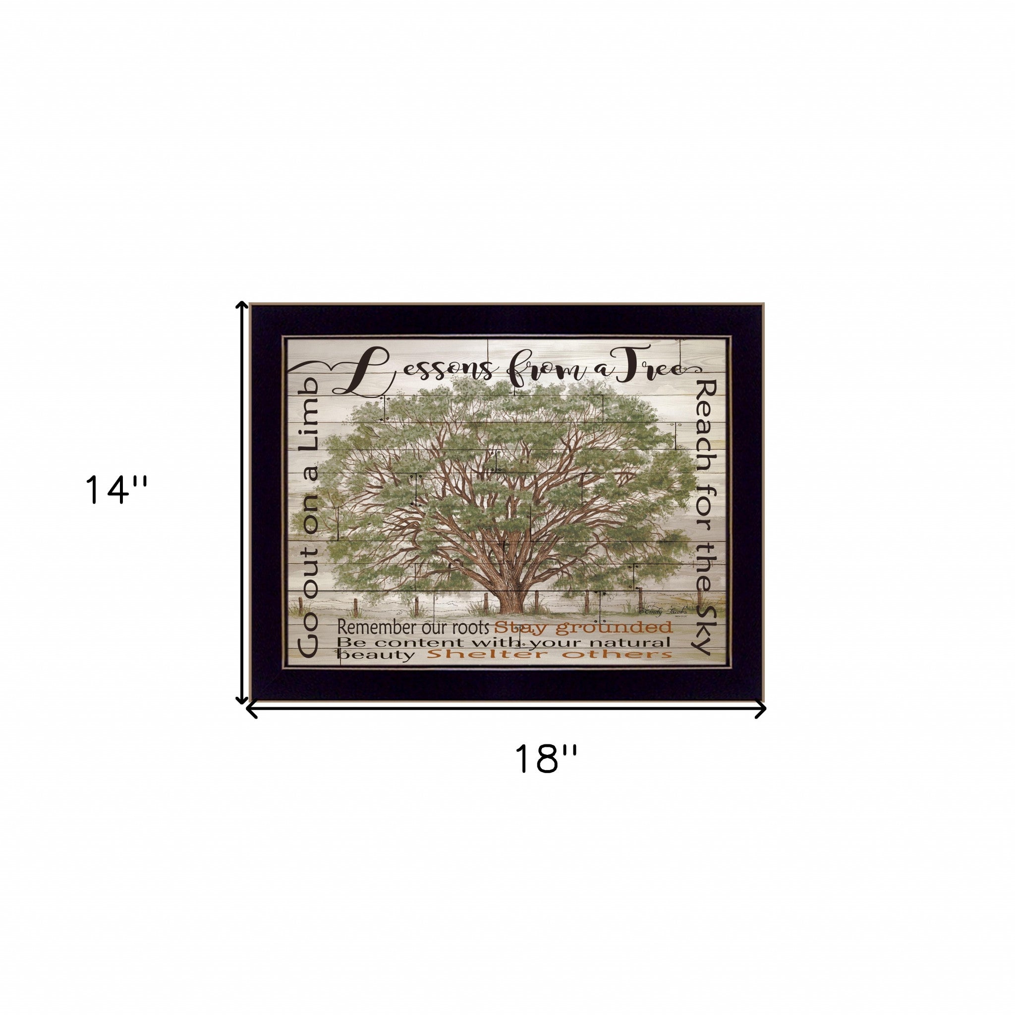 Lessons From A Tree Black Framed Print Wall Art