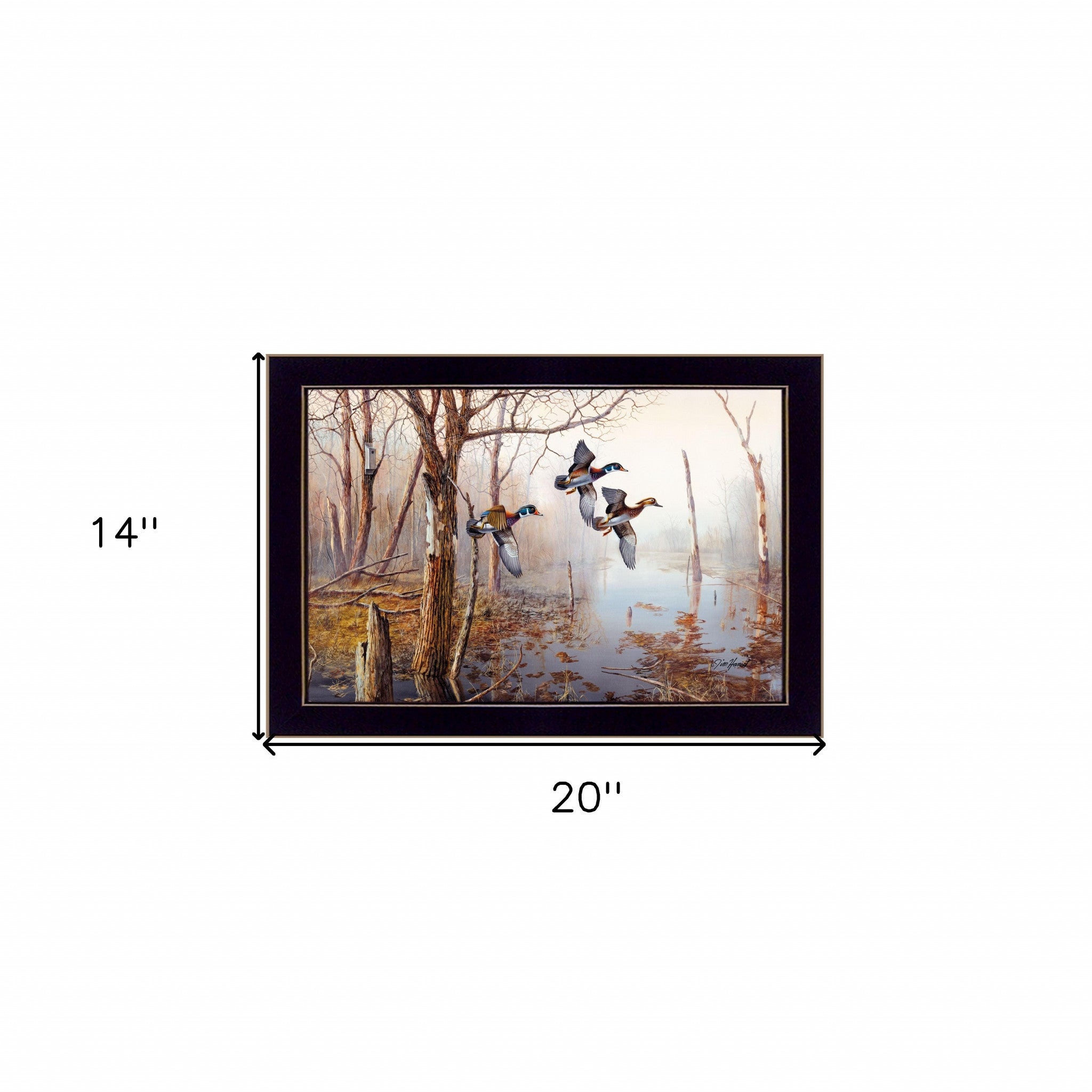 Backwater Black Framed Print Wall Art