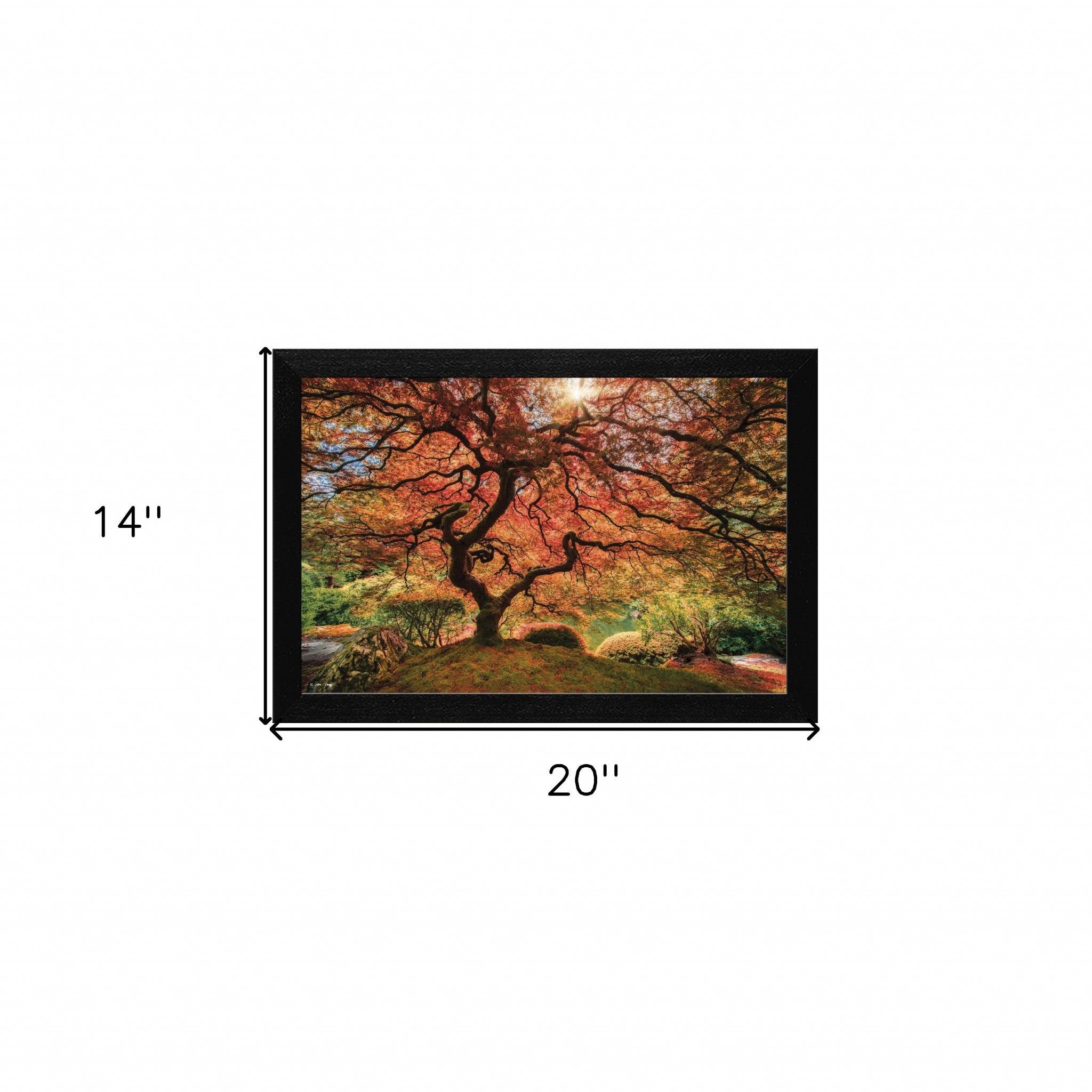 First Colors Of Fall Black Framed Print Wall Art