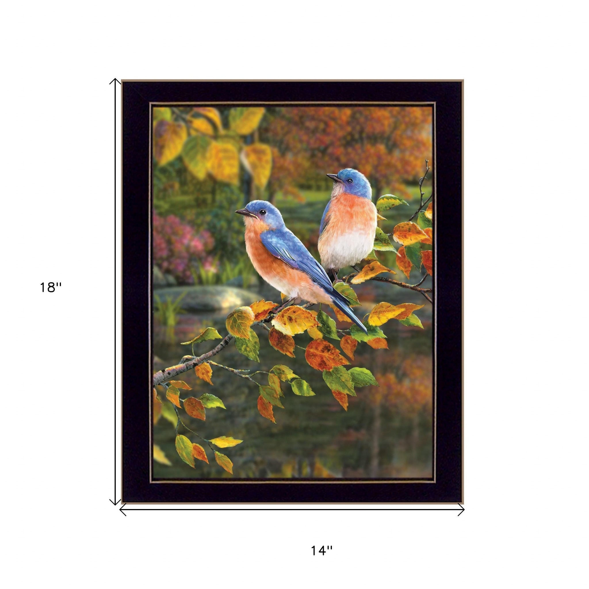 Bluebirds 1 Black Framed Print Wall Art