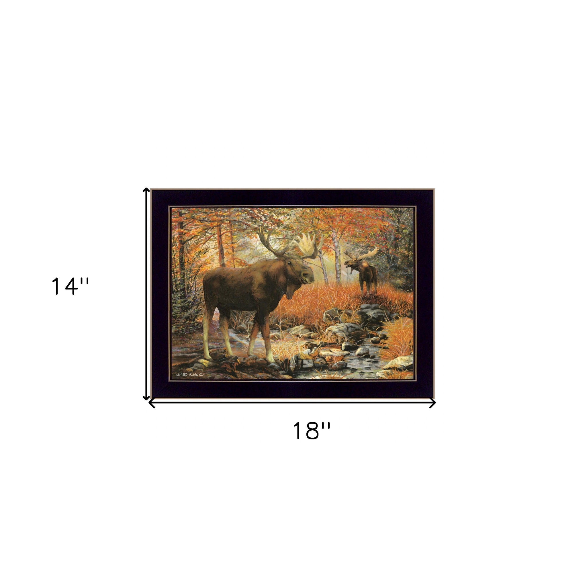 Call Of The Wild 1 Black Framed Print Wall Art