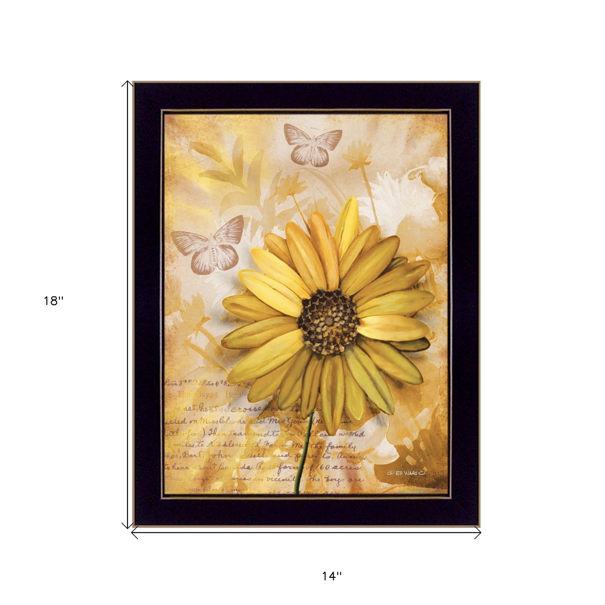 Flowers & Butterflies II 1 Black Framed Print Wall Art