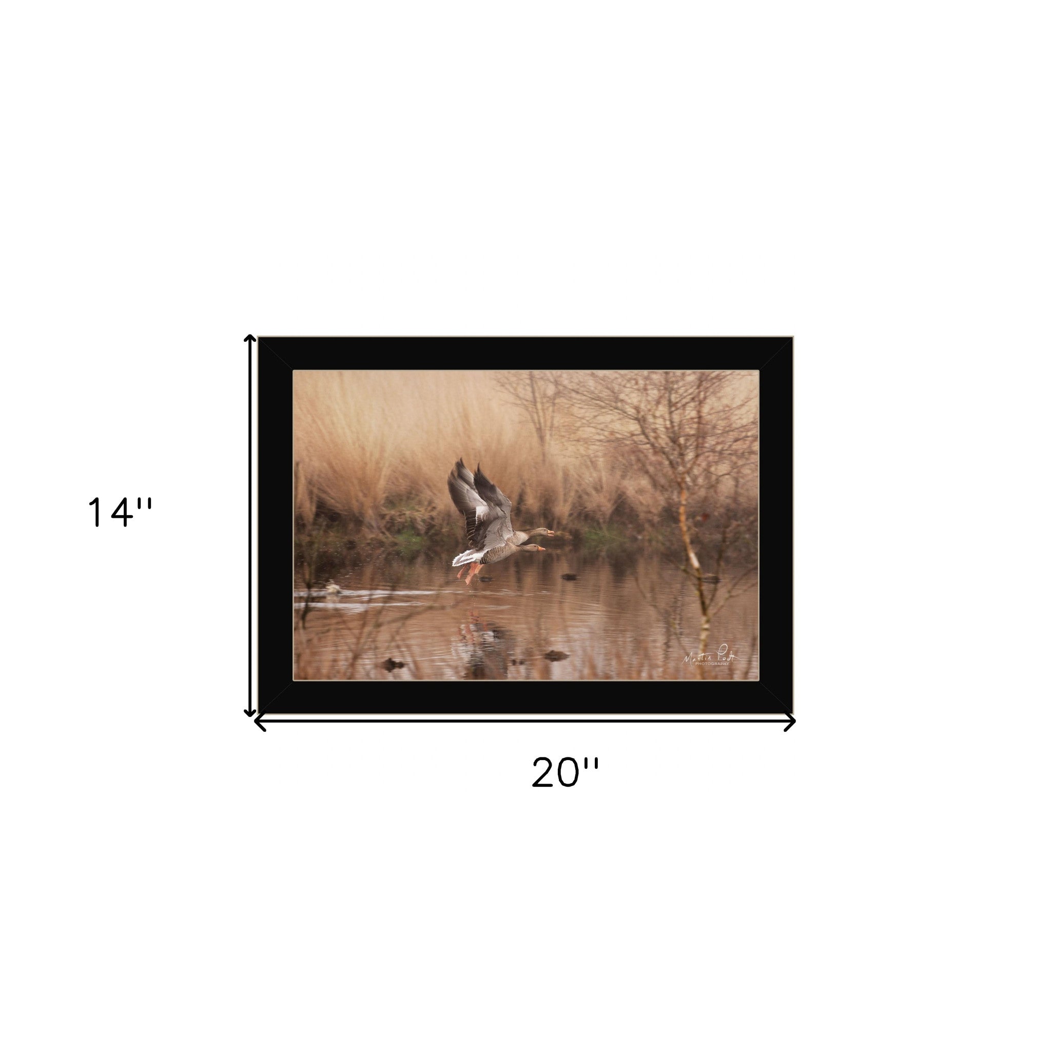 Fly Away 3 Black Framed Print Wall Art