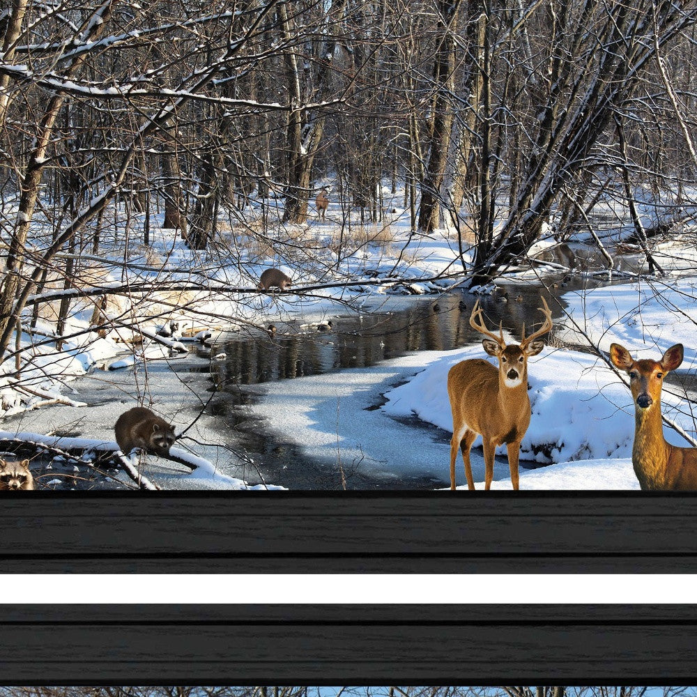 Set Of Two Great Outdoors Nature Or Winter Forest 3 Black Framed Print Wall Art